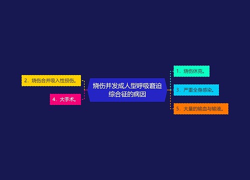 烧伤并发成人型呼吸窘迫综合征的病因