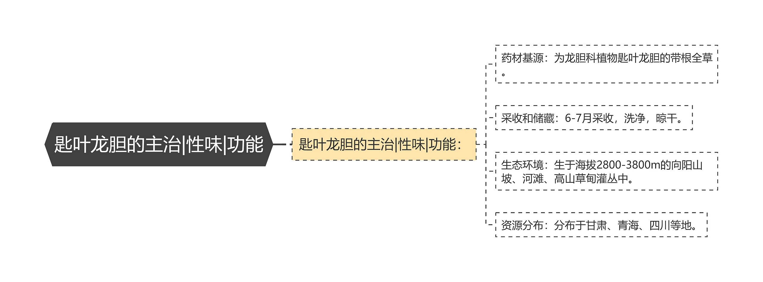 匙叶龙胆的主治|性味|功能思维导图