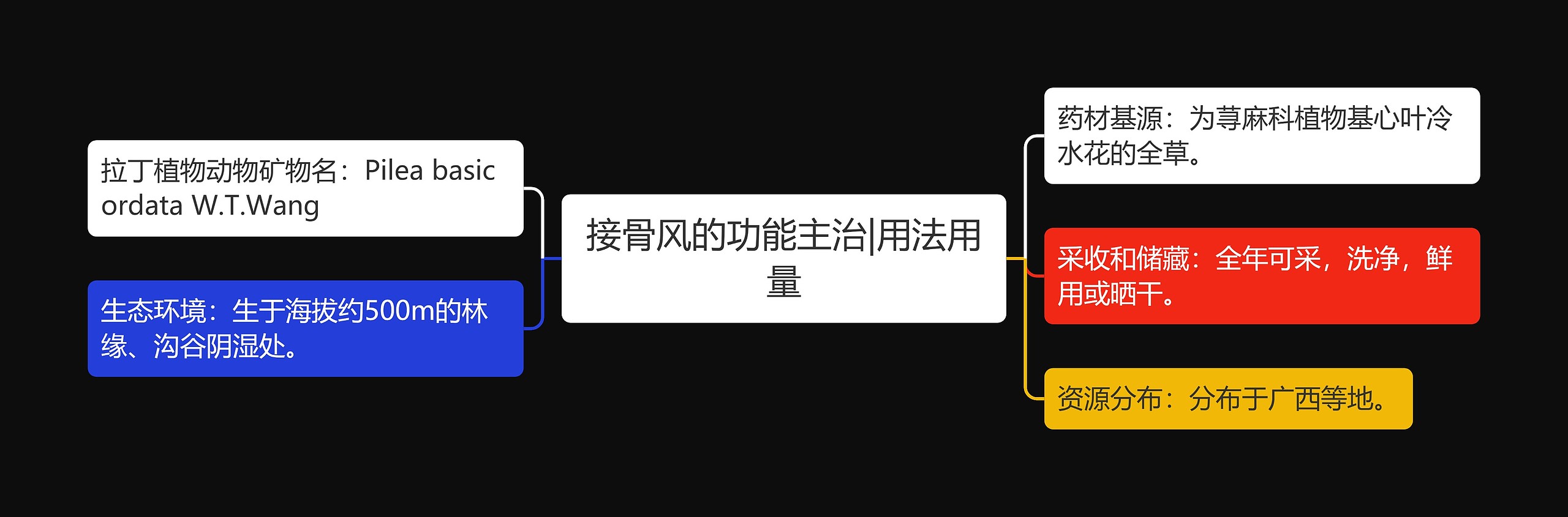 接骨风的功能主治|用法用量 接骨风的功能主治|用法用量