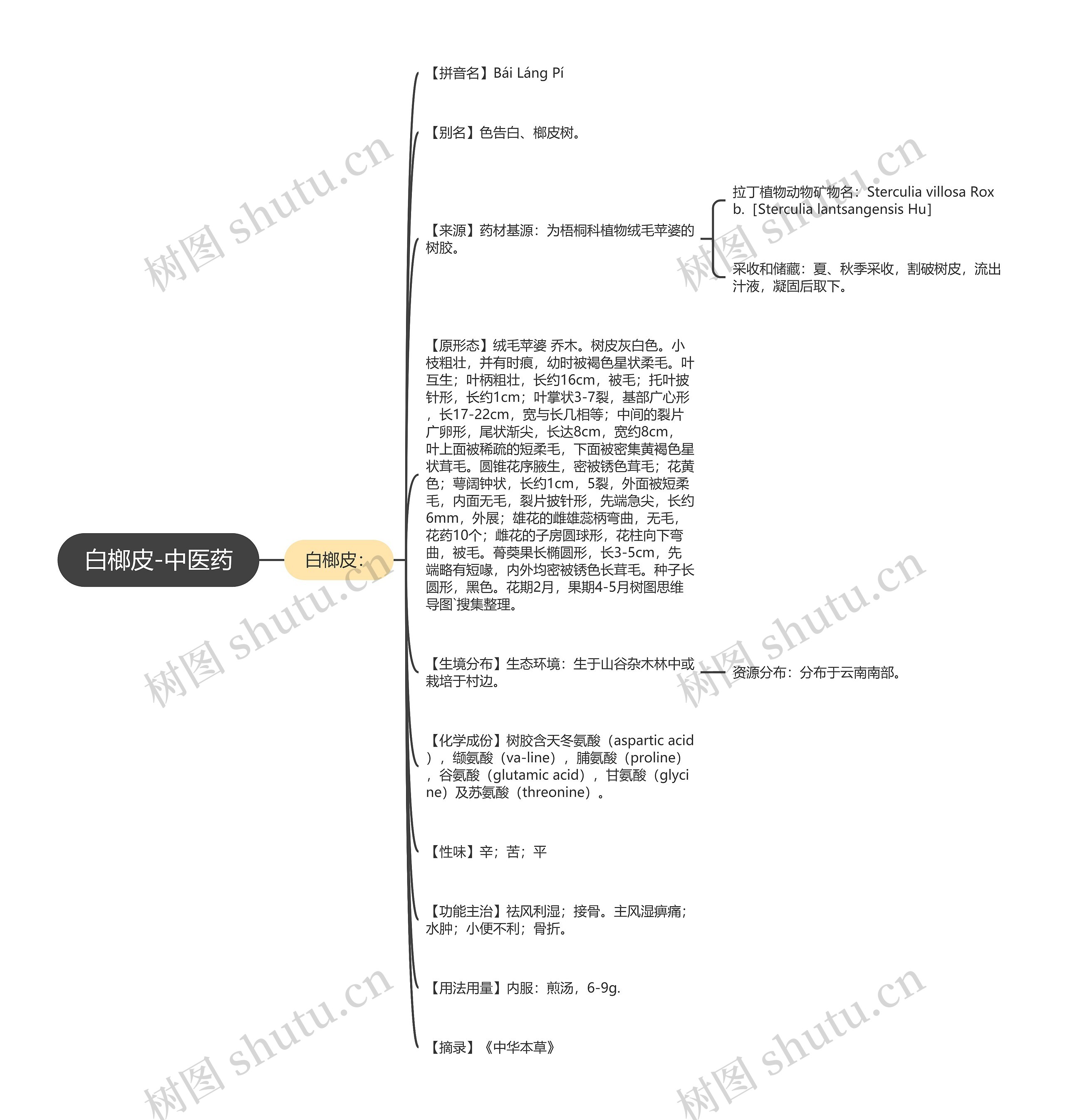 白榔皮-中医药思维导图