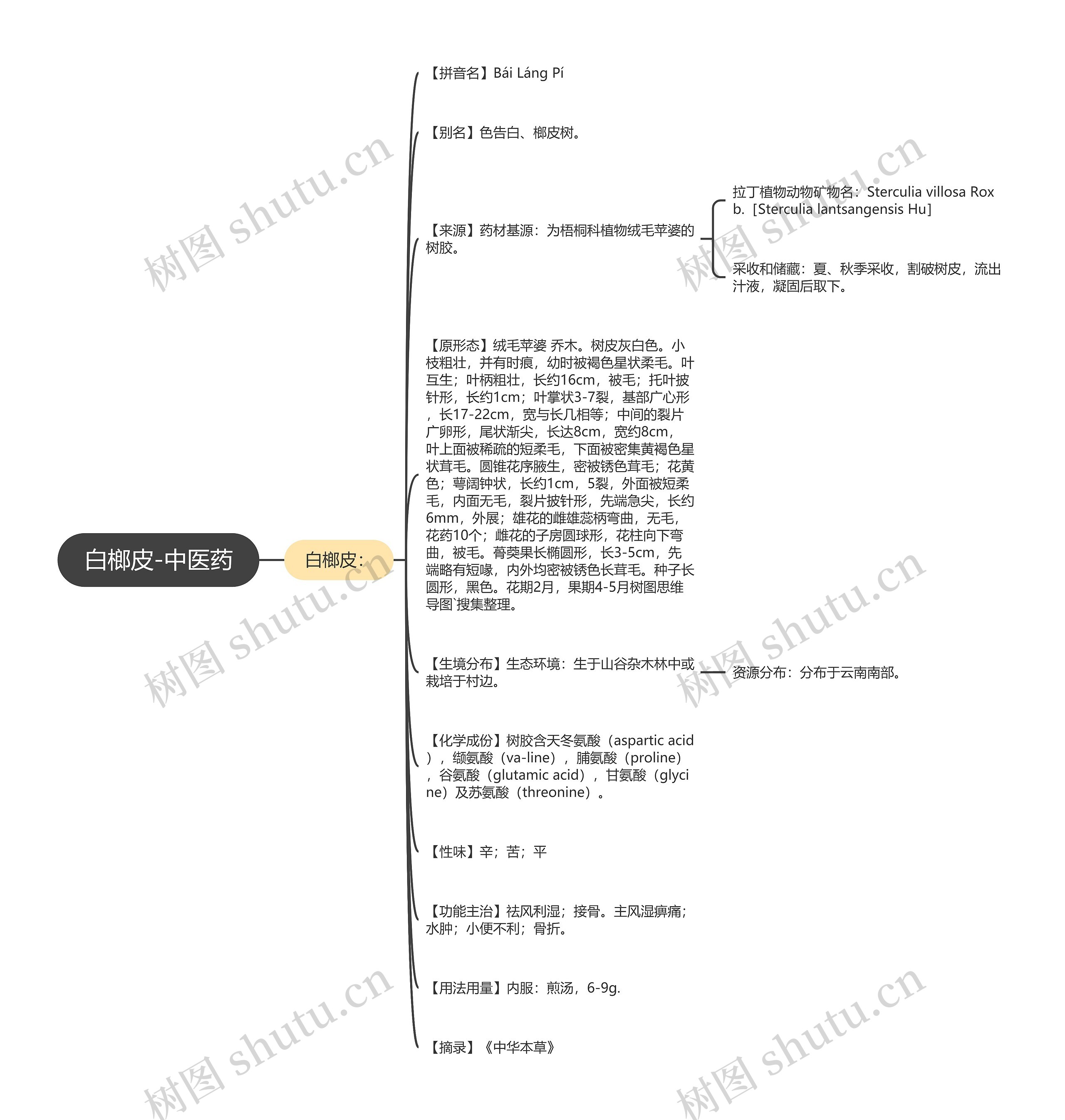 白榔皮-中医药 白榔皮-中医药