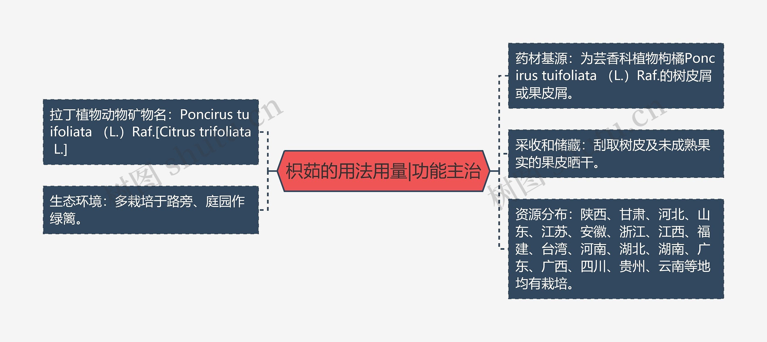枳茹的用法用量|功能主治