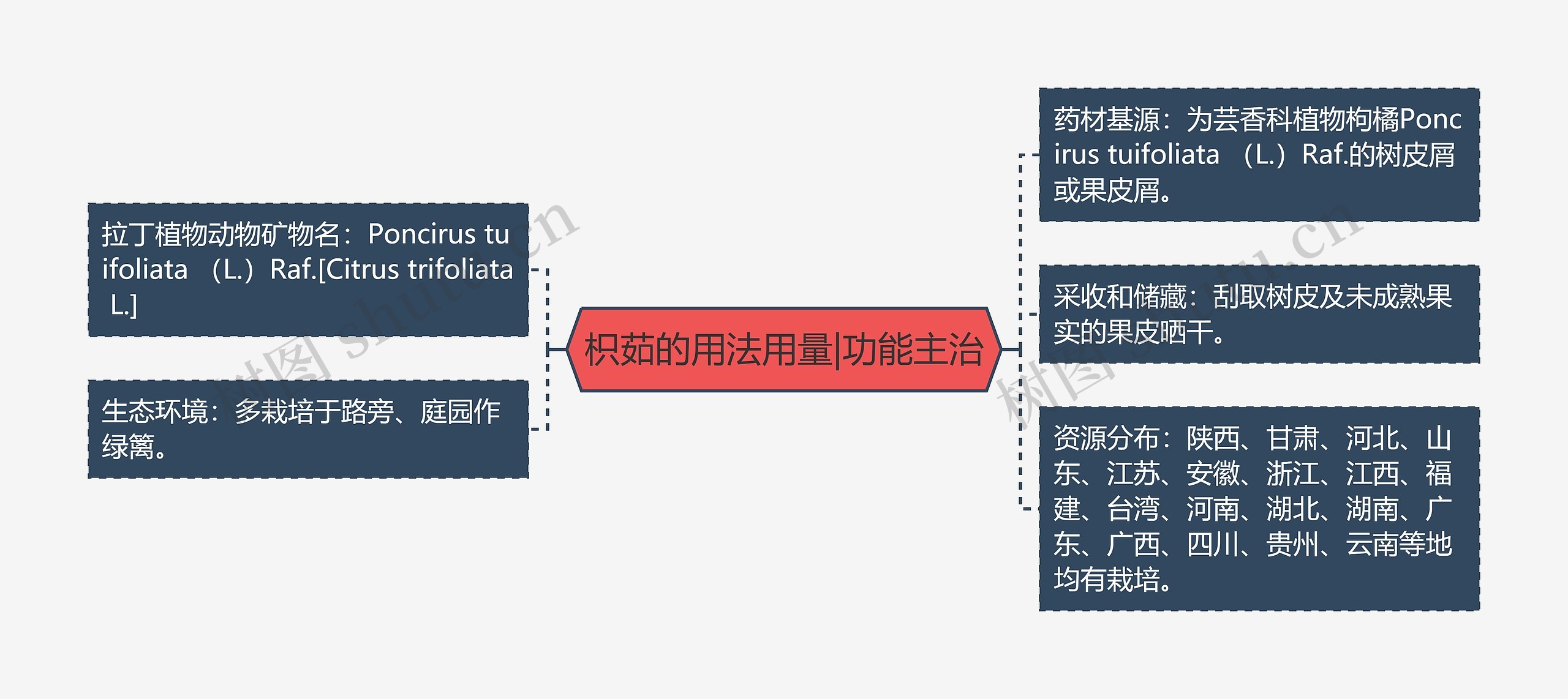 枳茹的用法用量|功能主治思维导图