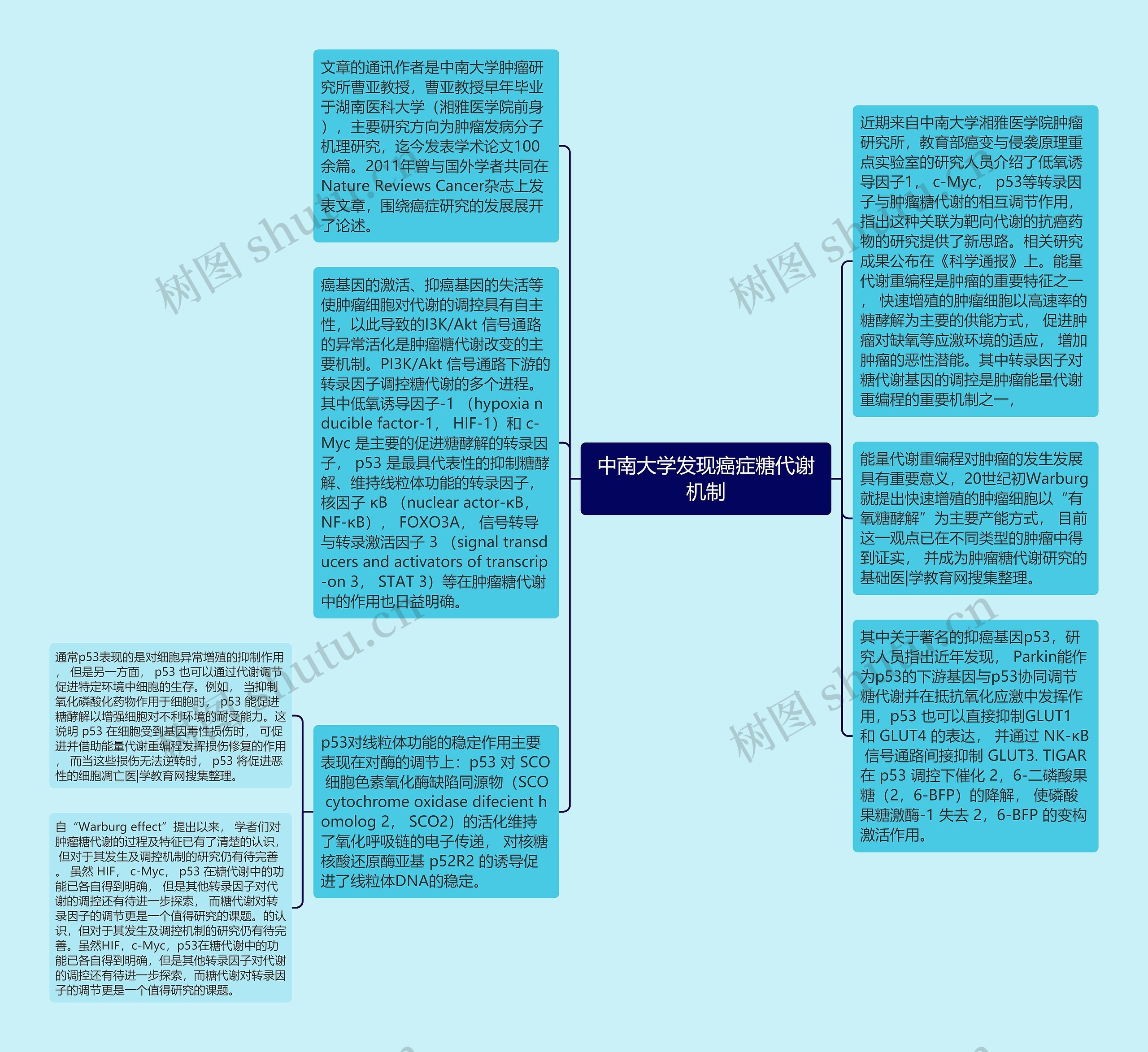 中南大学发现癌症糖代谢机制思维导图