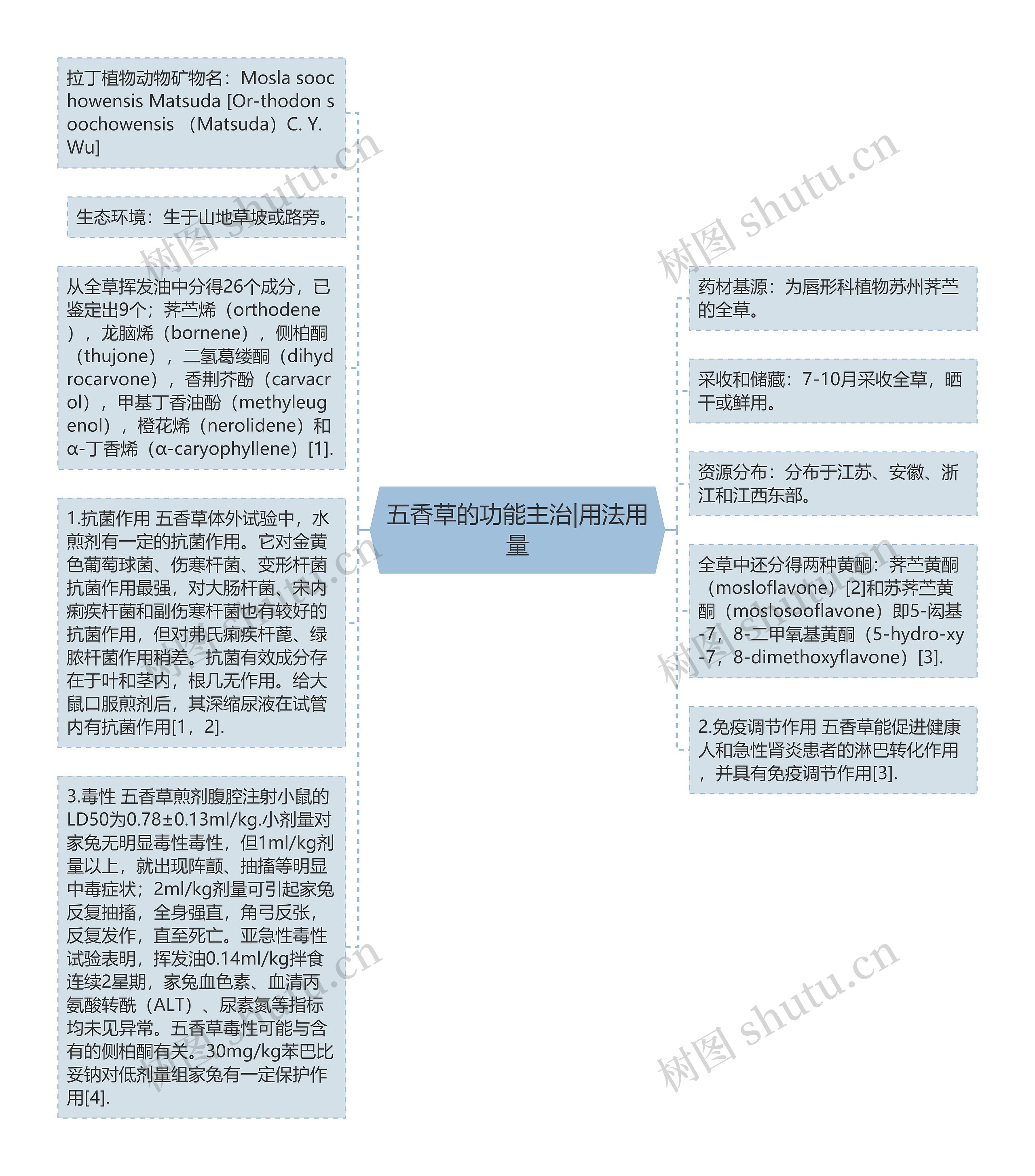 五香草的功能主治|用法用量