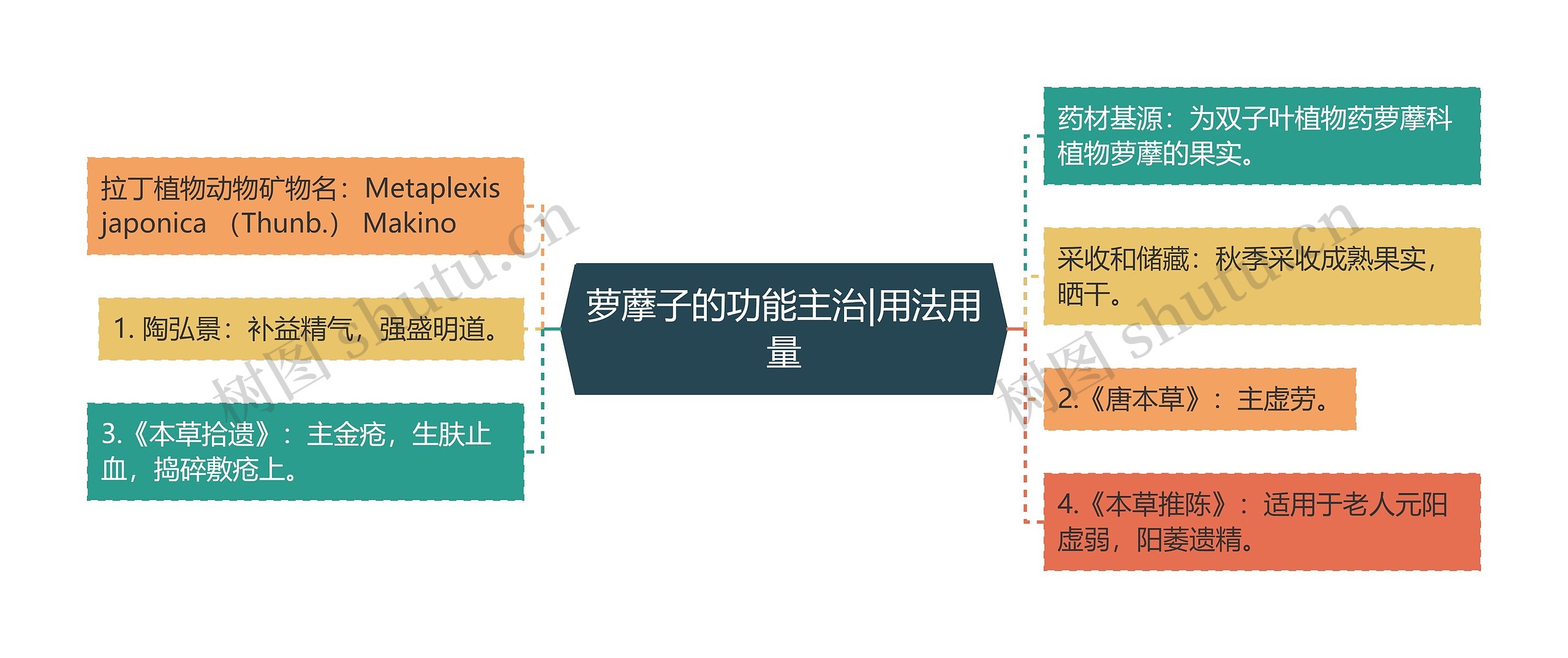 萝藦子的功能主治|用法用量思维导图