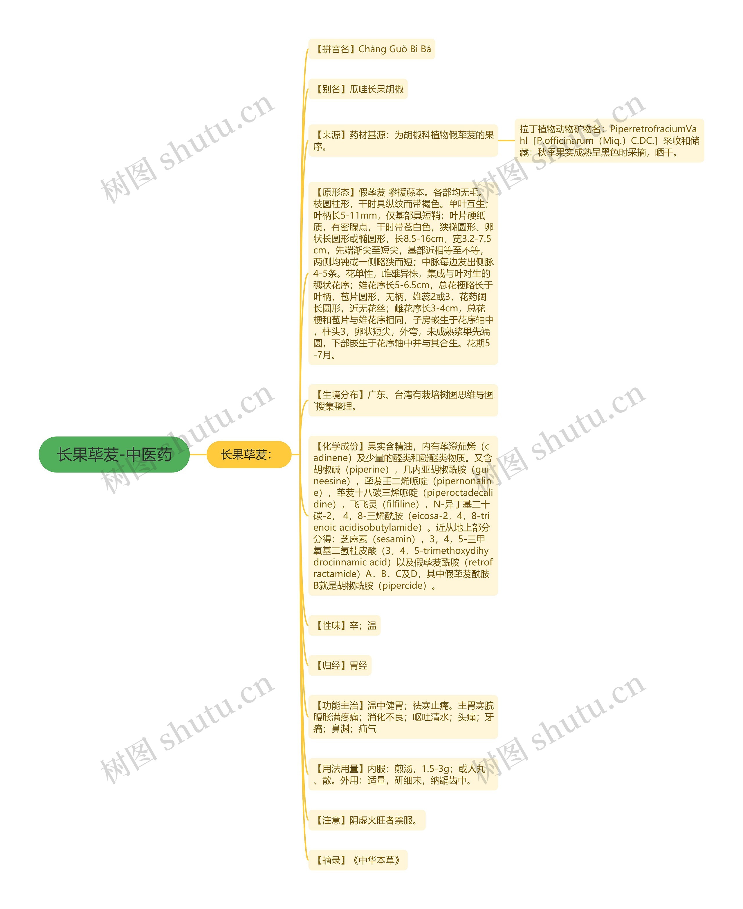 长果荜茇-中医药思维导图