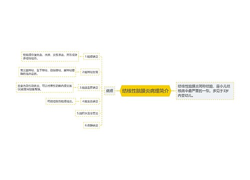 结核性脑膜炎病理简介