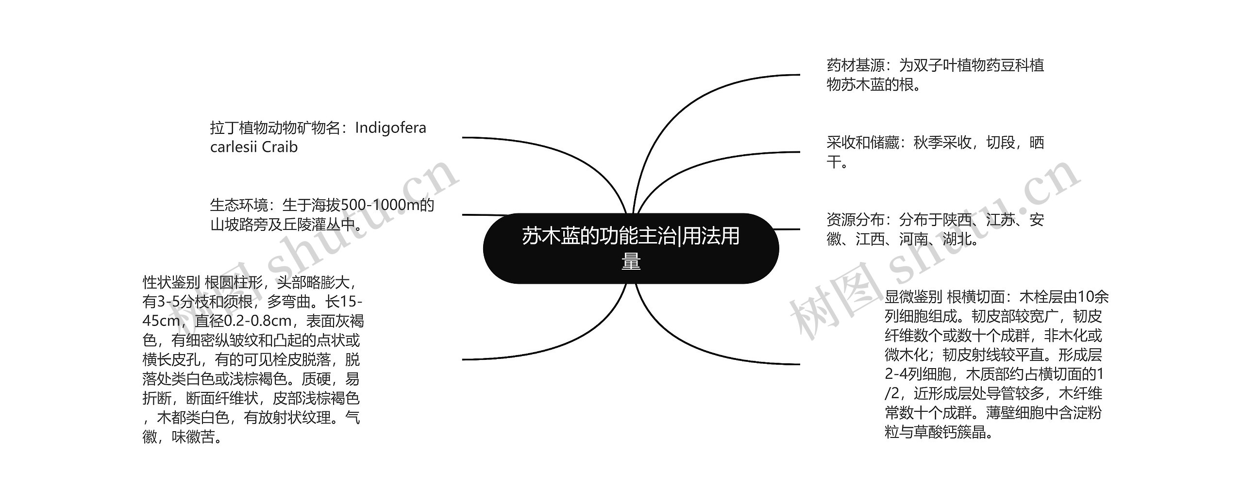 苏木蓝的功能主治|用法用量思维导图