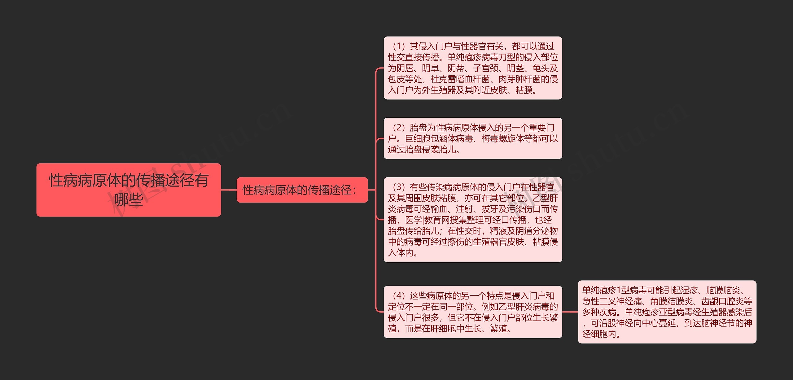 性病病原体的传播途径有哪些思维导图