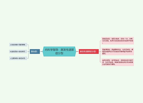 内科学指导：原发性遗尿症分型