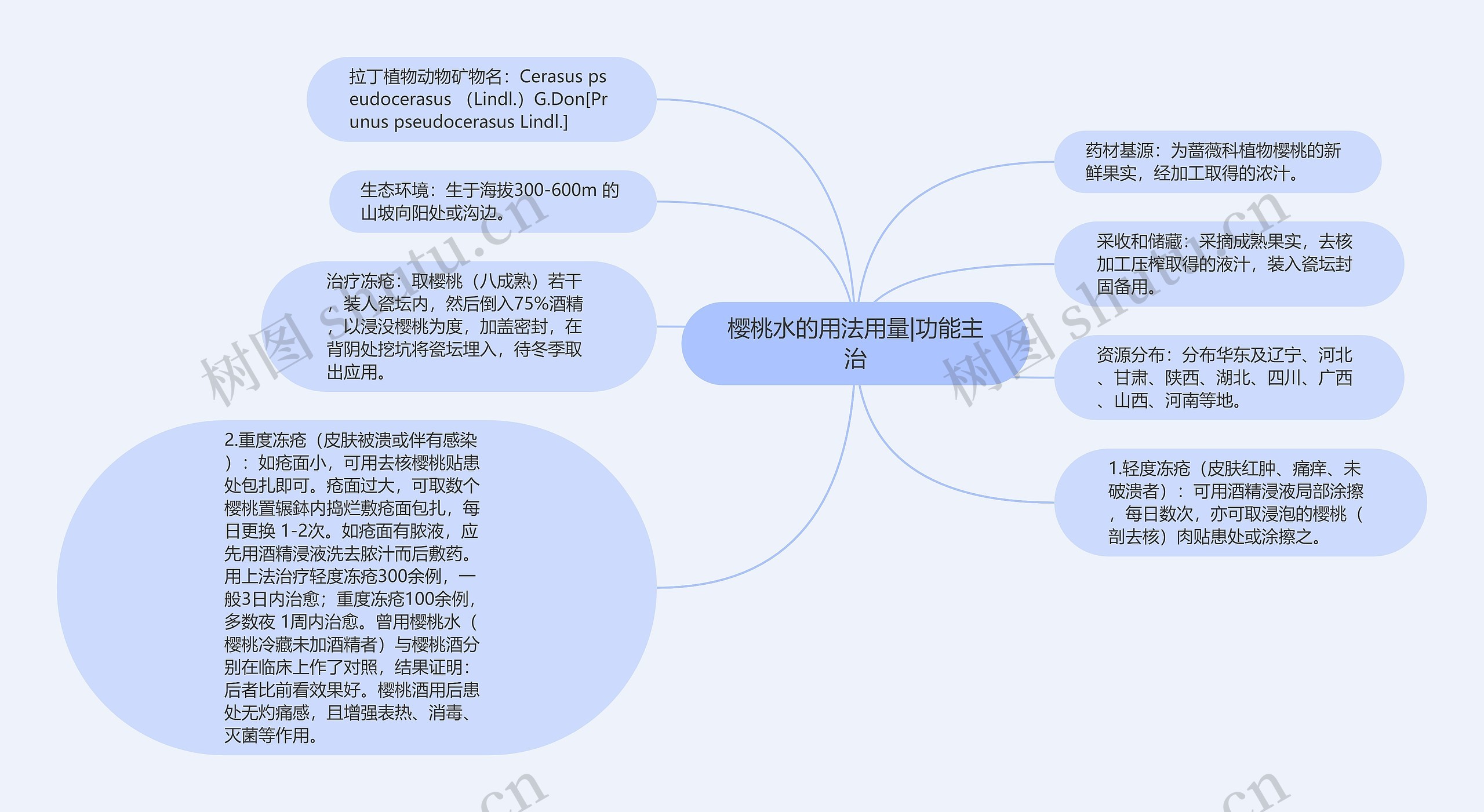 樱桃水的用法用量|功能主治