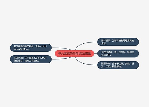 单头紫菀的功效|用法用量