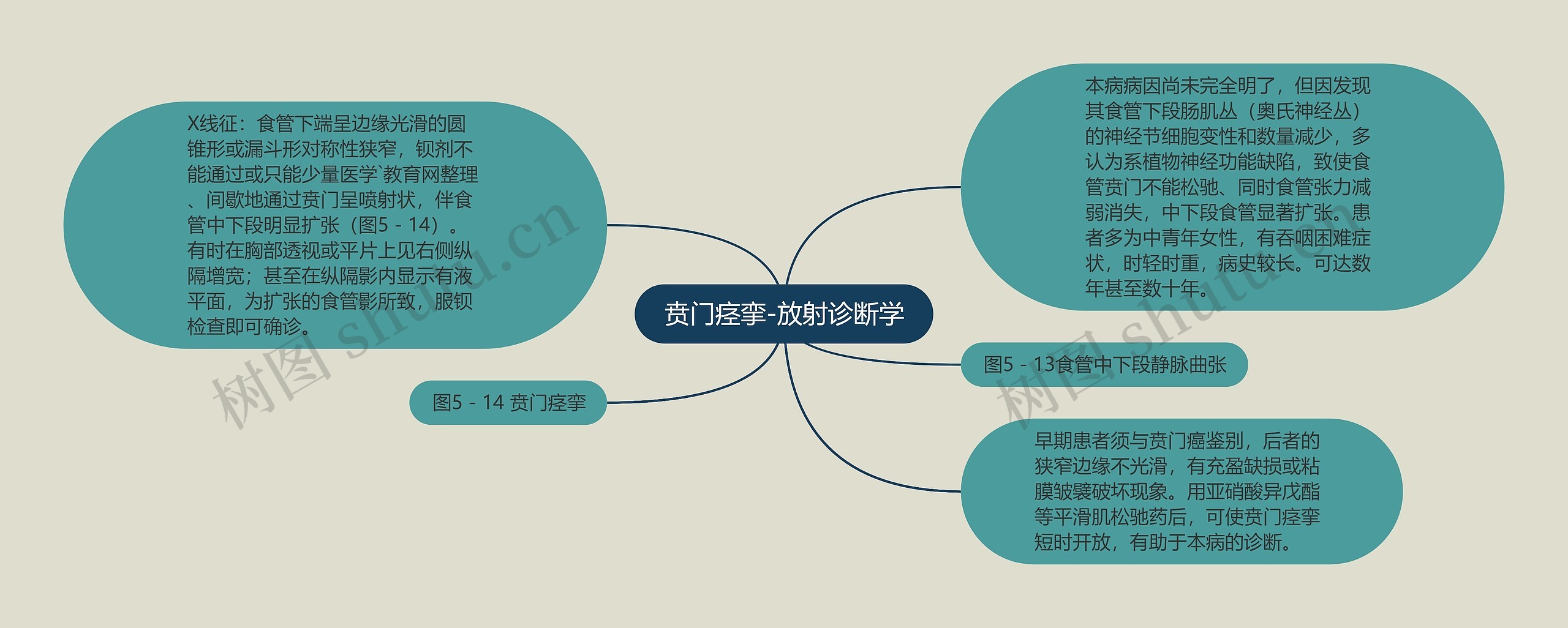 贲门痉挛-放射诊断学思维导图