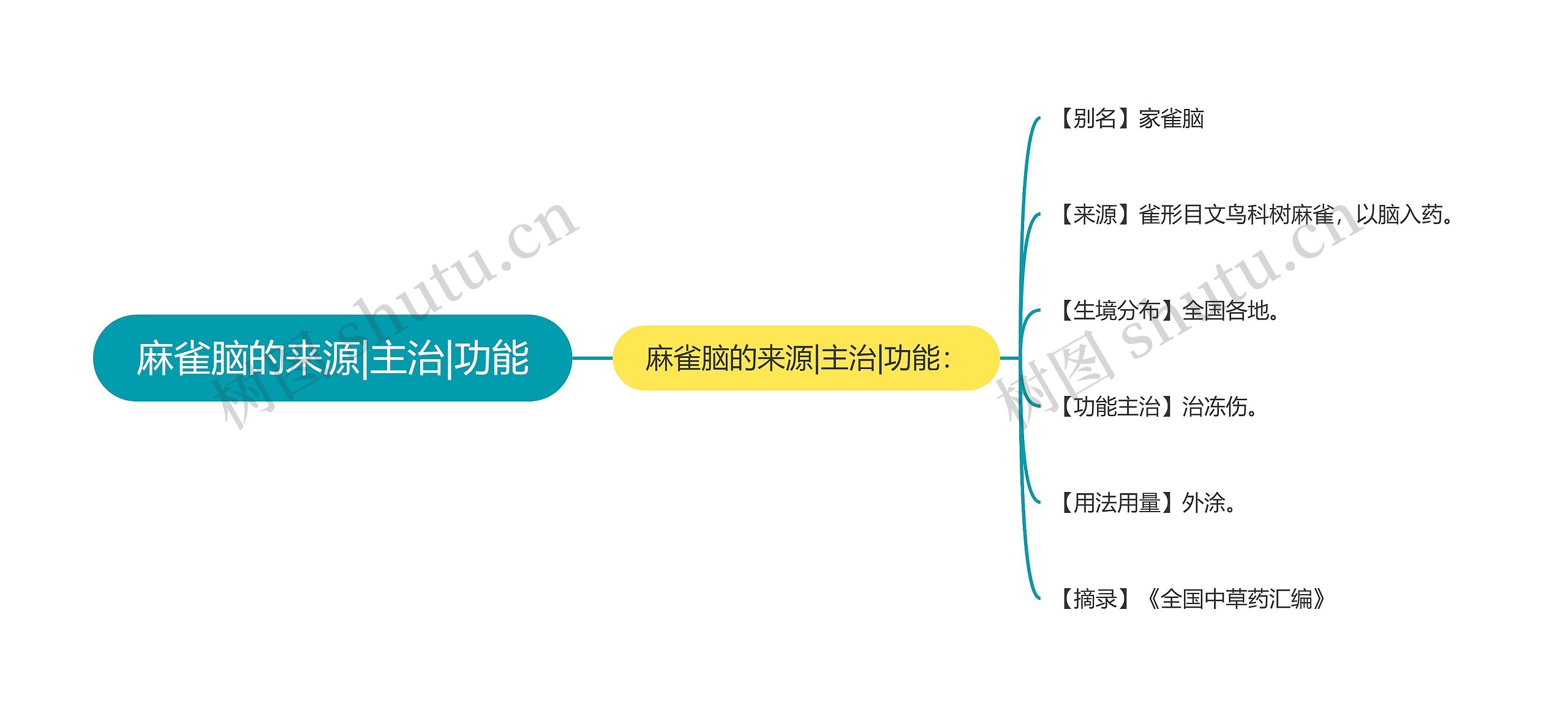 麻雀脑的来源|主治|功能思维导图