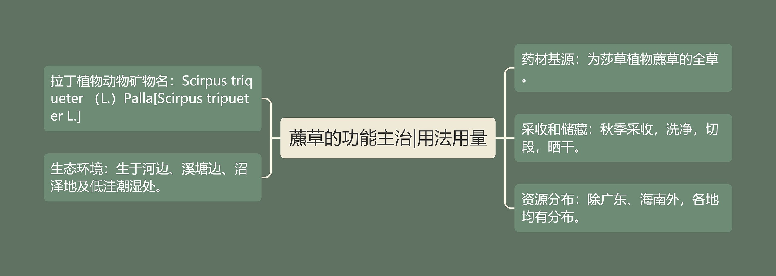 藨草的功能主治|用法用量