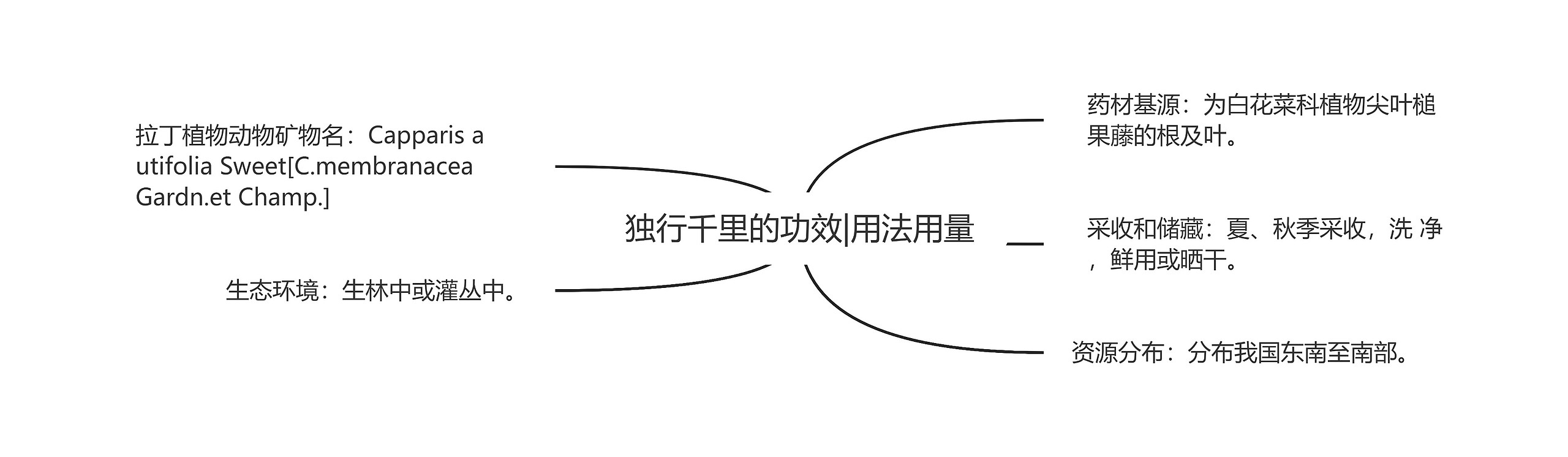 独行千里的功效|用法用量思维导图