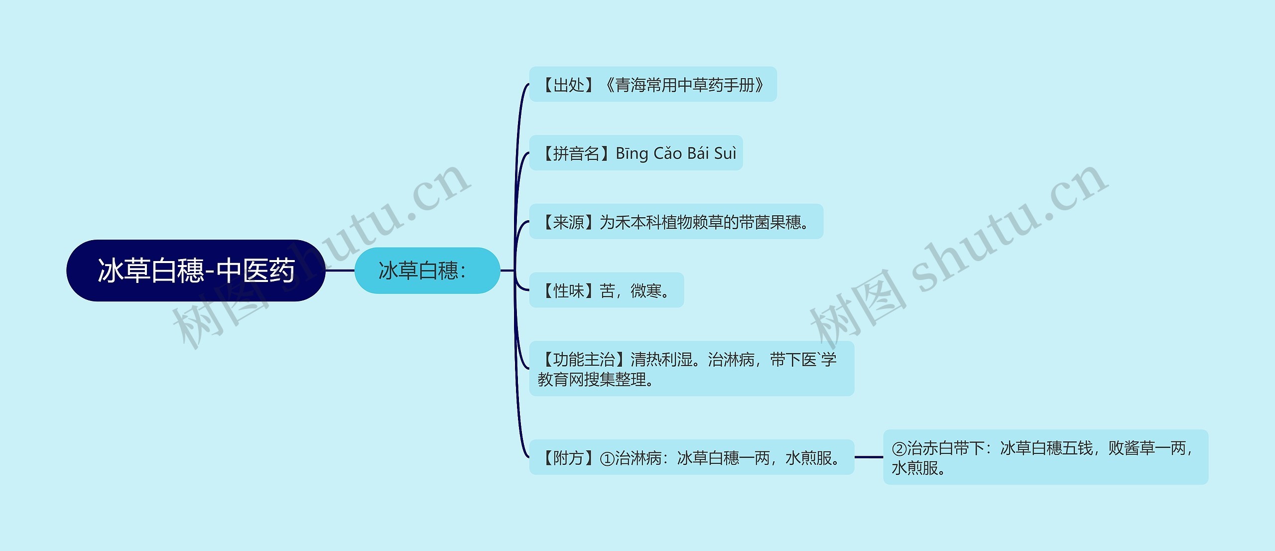 冰草白穗-中医药思维导图