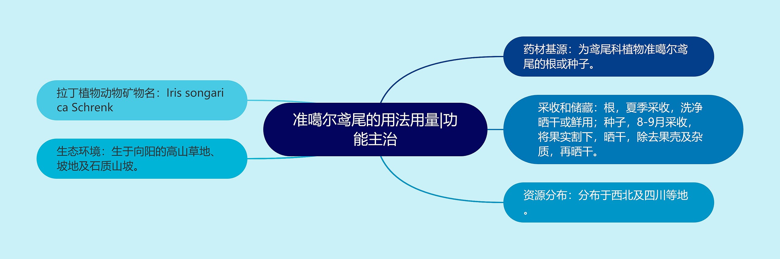 准噶尔鸢尾的用法用量|功能主治 准噶尔鸢尾的用法用量|功能主治