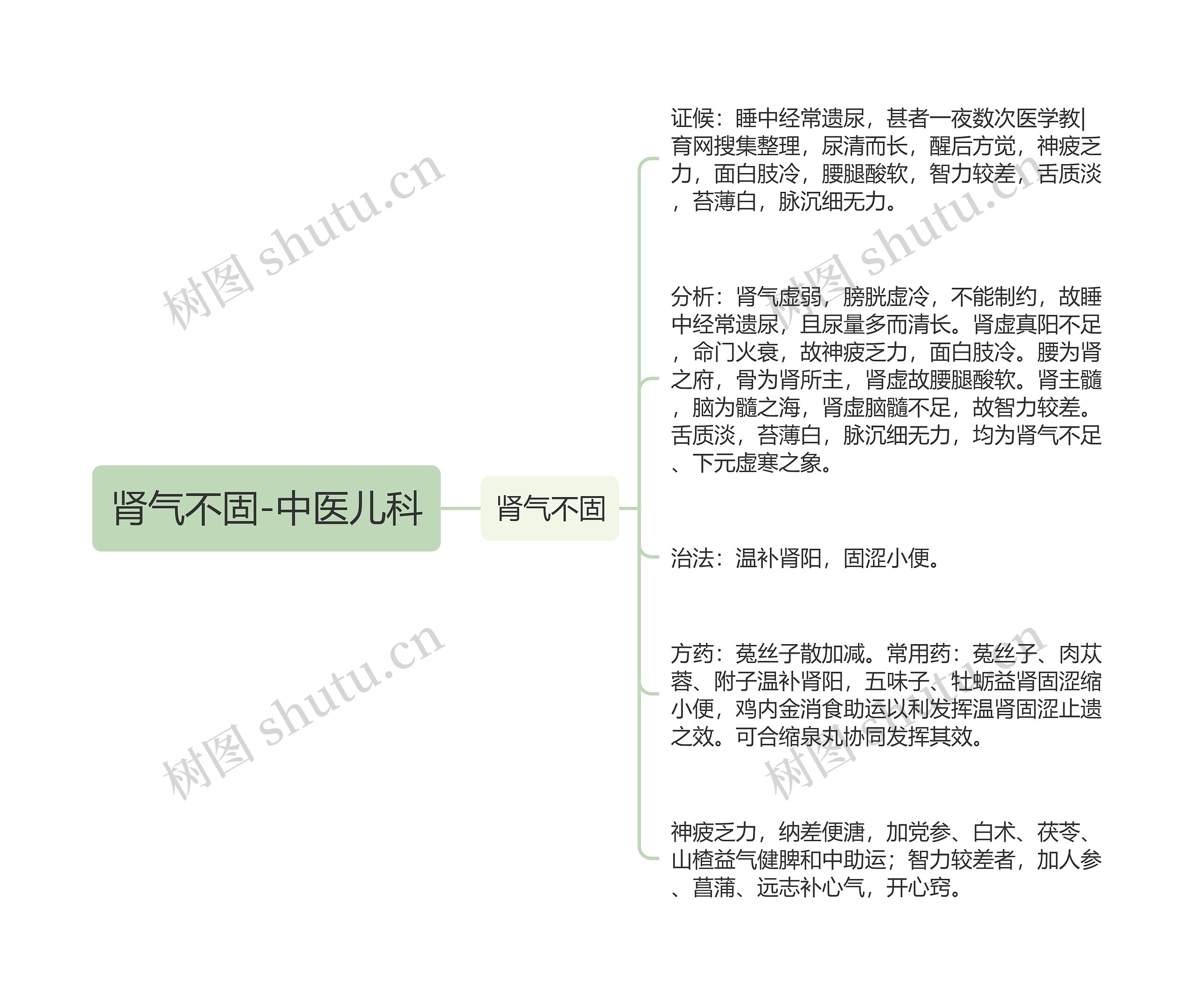 肾气不固-中医儿科思维导图