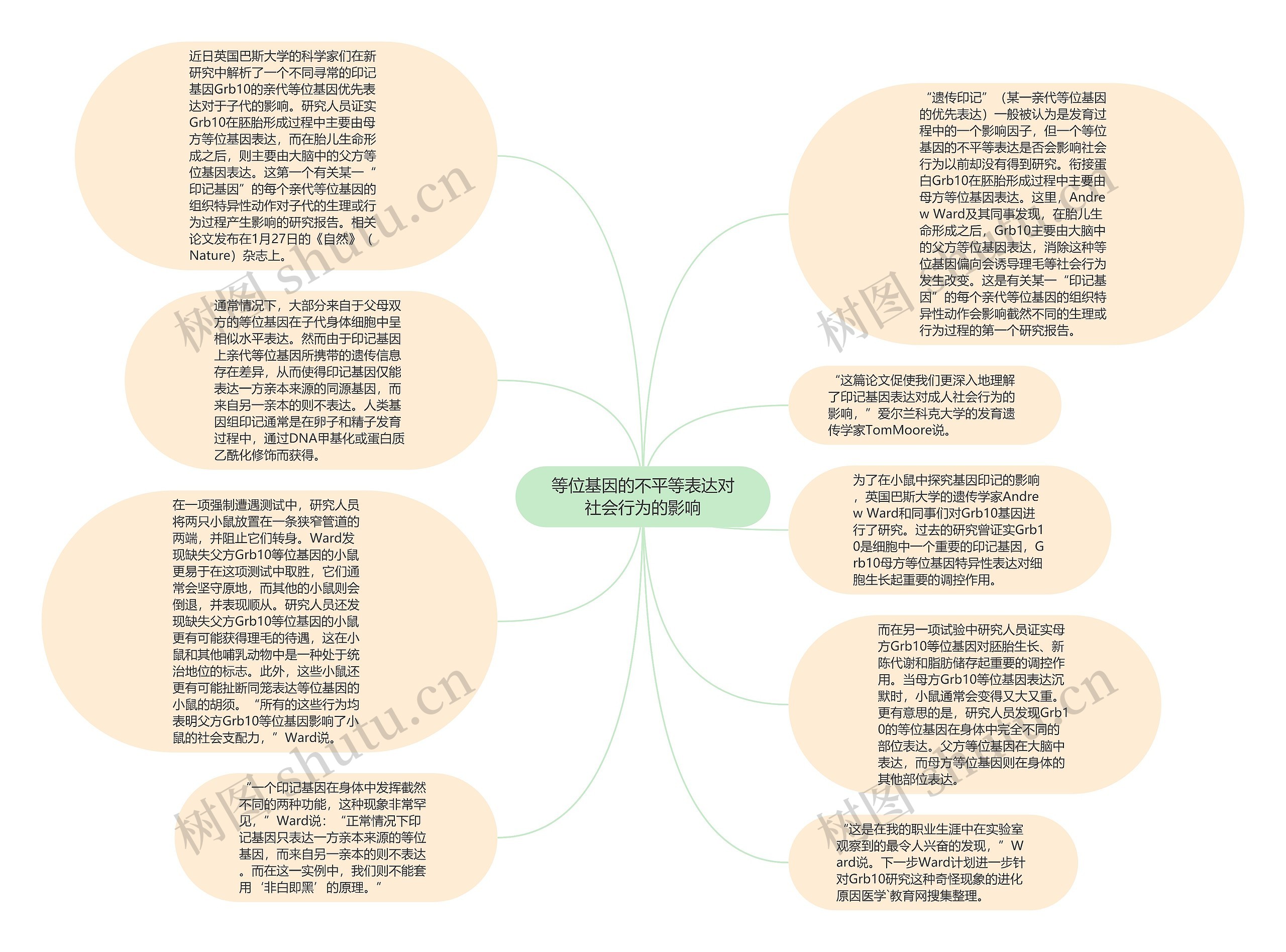 等位基因的不平等表达对社会行为的影响