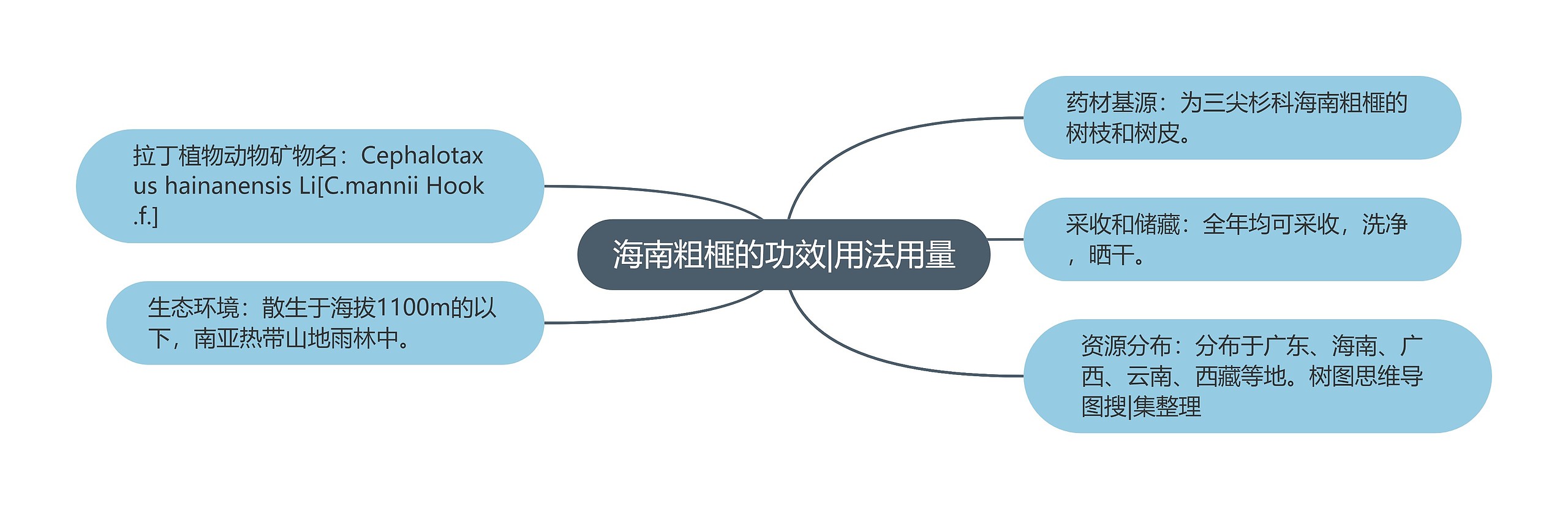 海南粗榧的功效|用法用量 海南粗榧的功效|用法用量