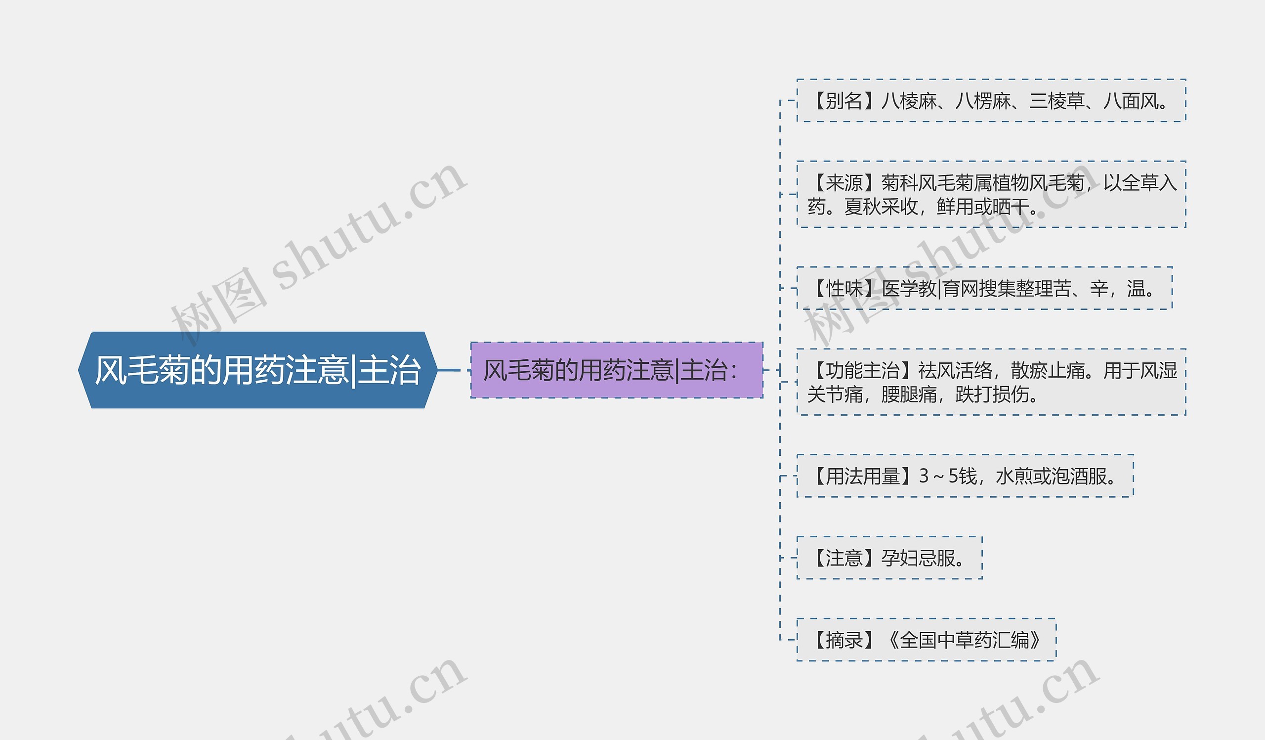 风毛菊的用药注意|主治思维导图