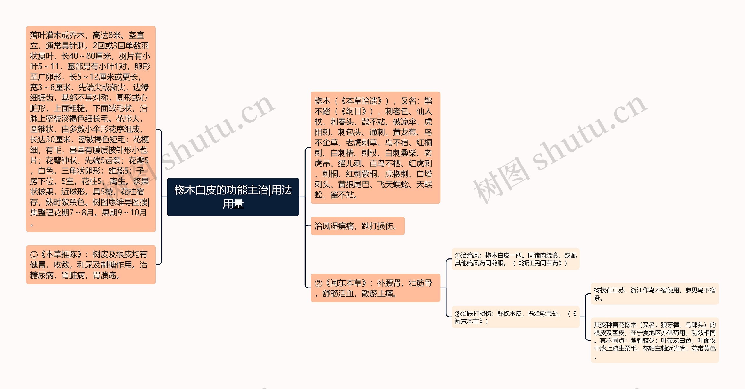 楤木白皮的功能主治|用法用量思维导图