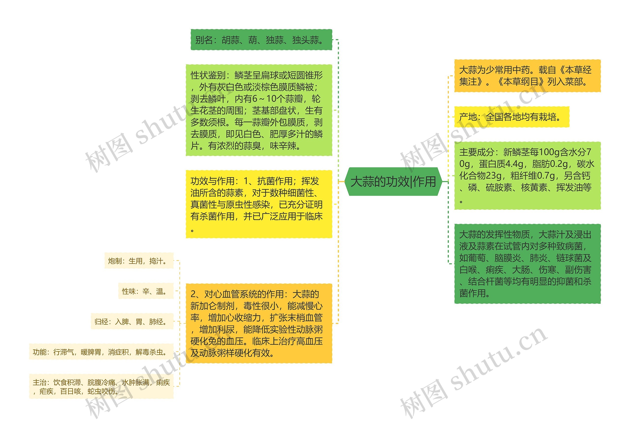 大蒜的功效|作用思维导图