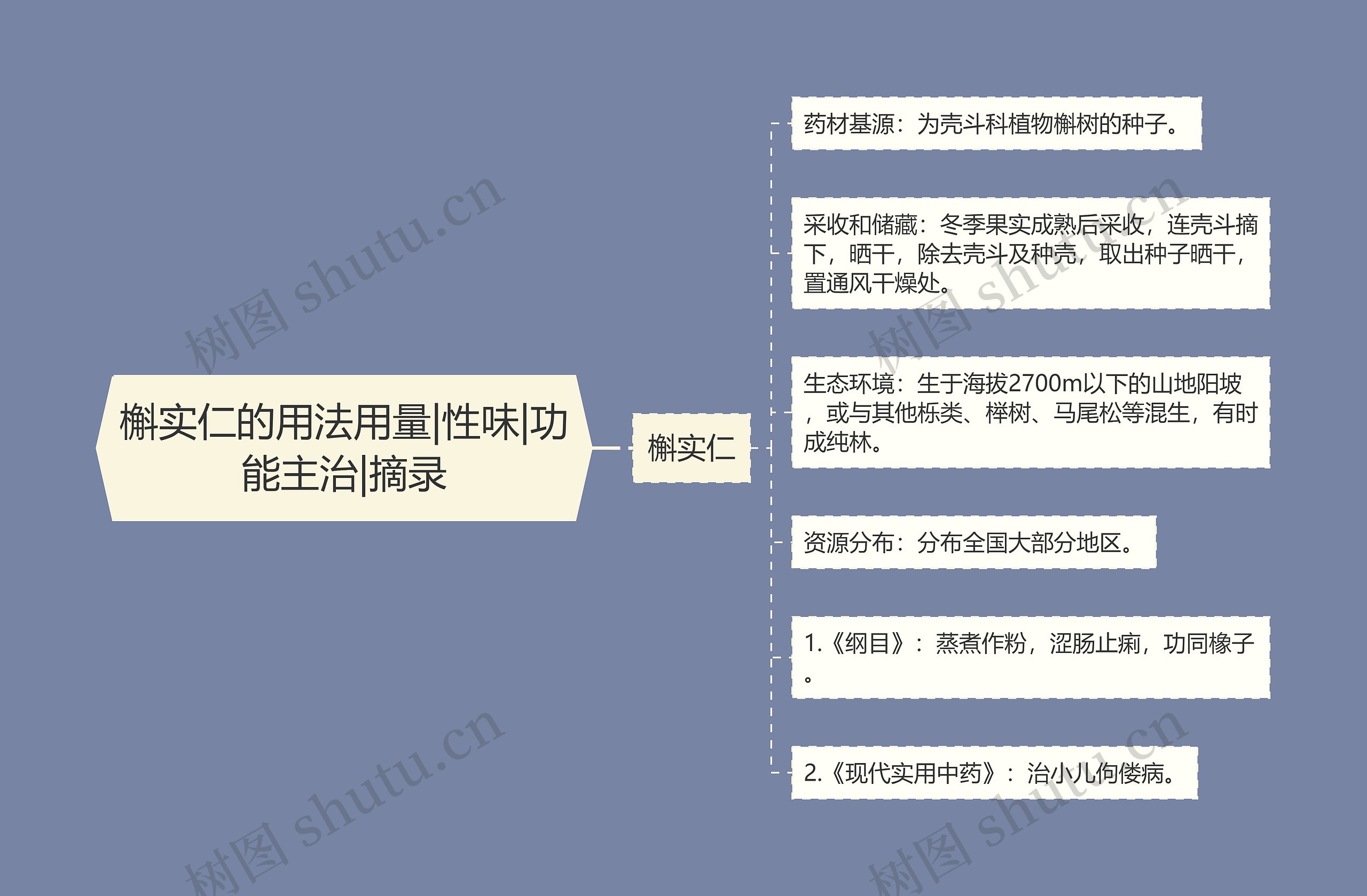 槲实仁的用法用量|性味|功能主治|摘录思维导图