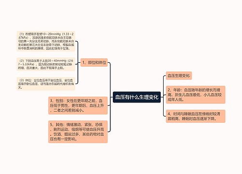 血压有什么生理变化