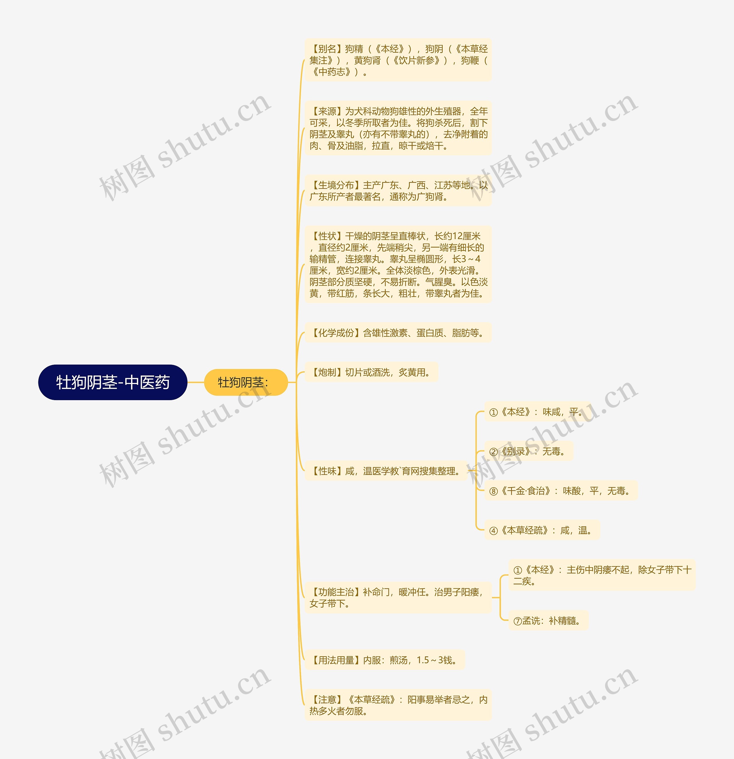 牡狗阴茎-中医药思维导图