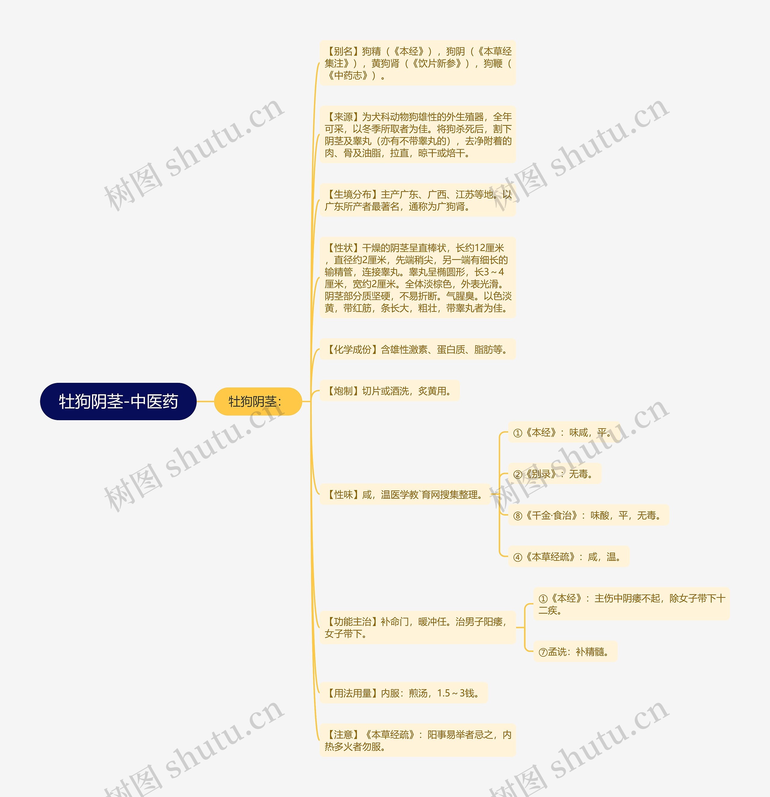 牡狗阴茎-中医药 牡狗阴茎-中医药