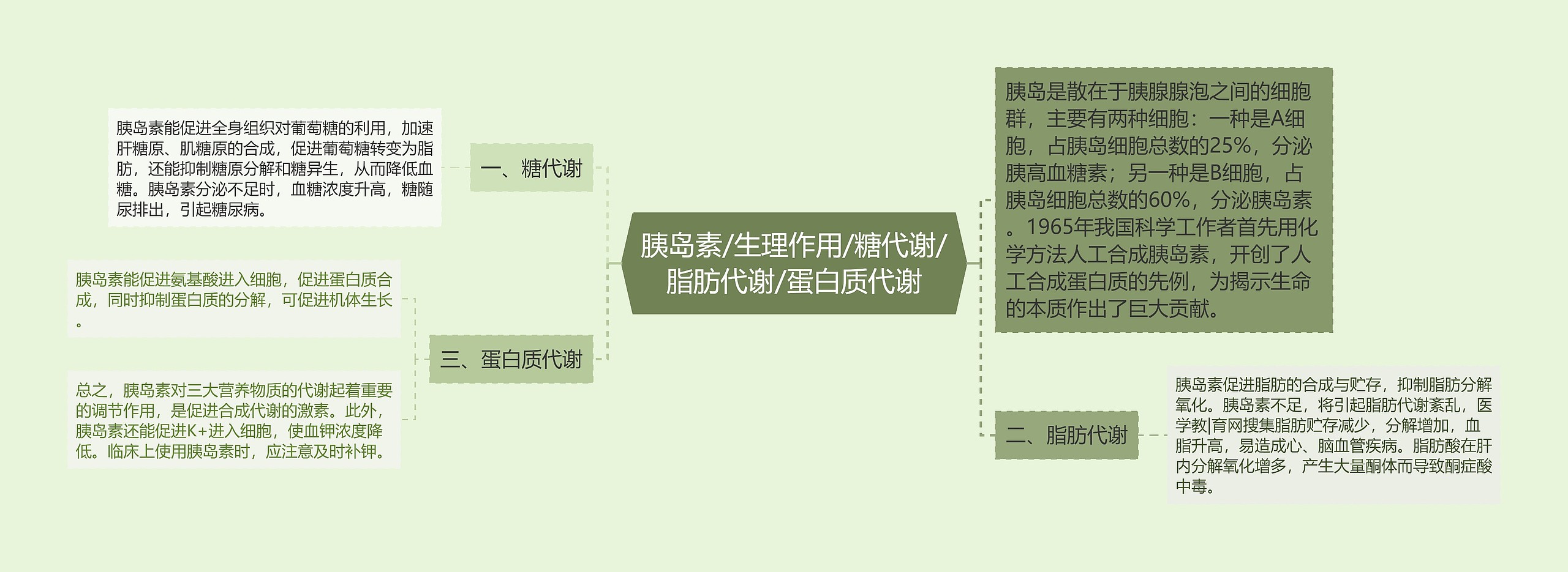 胰岛素/生理作用/糖代谢/脂肪代谢/蛋白质代谢思维导图