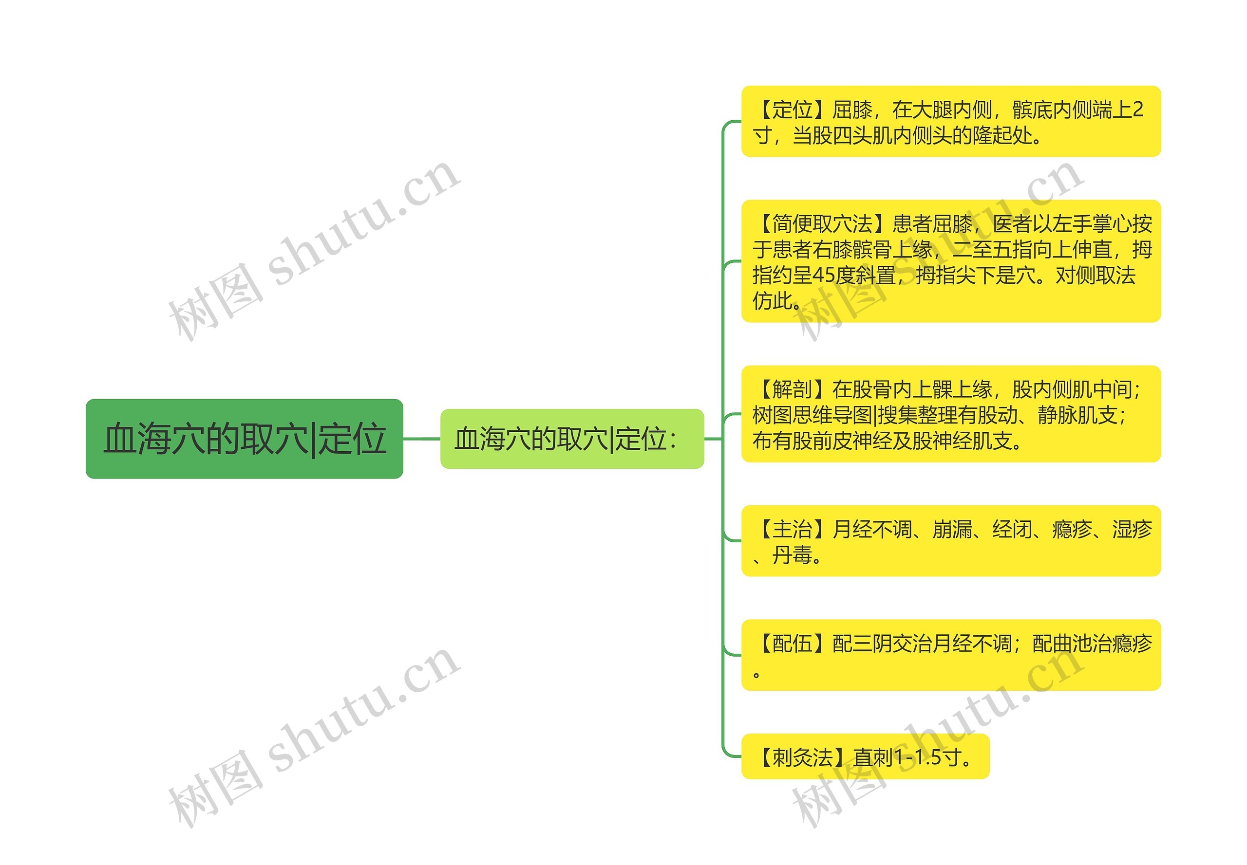血海穴的取穴|定位思维导图