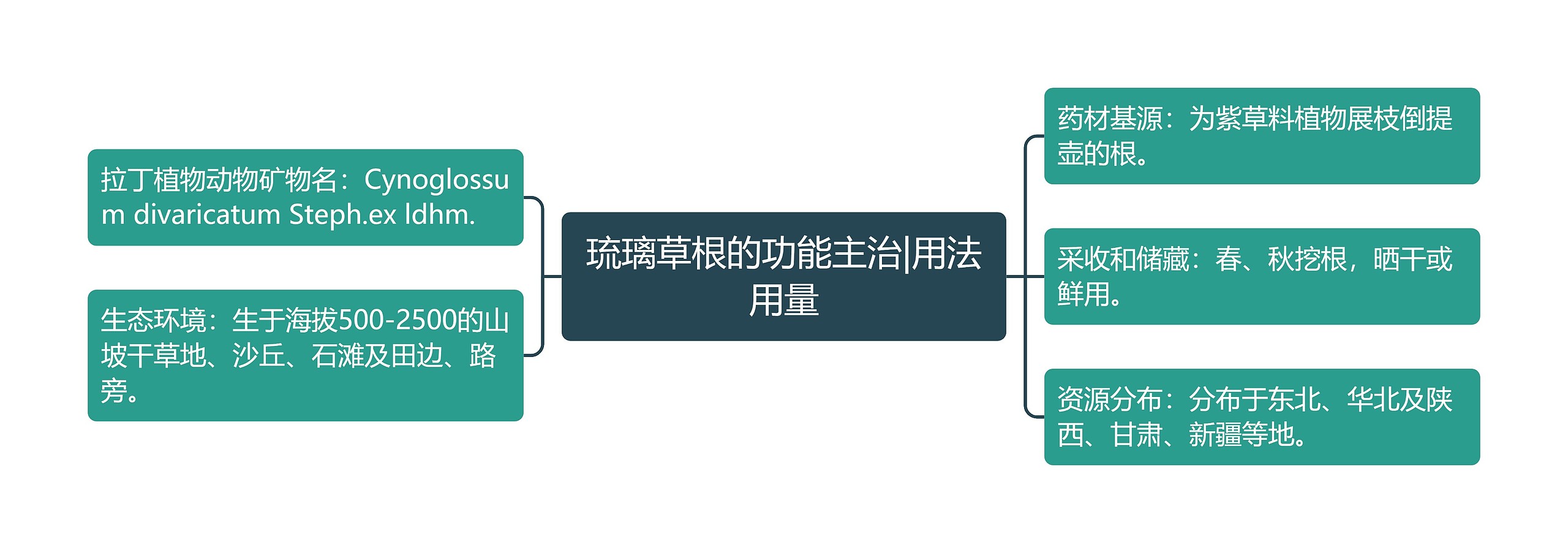 琉璃草根的功能主治|用法用量思维导图