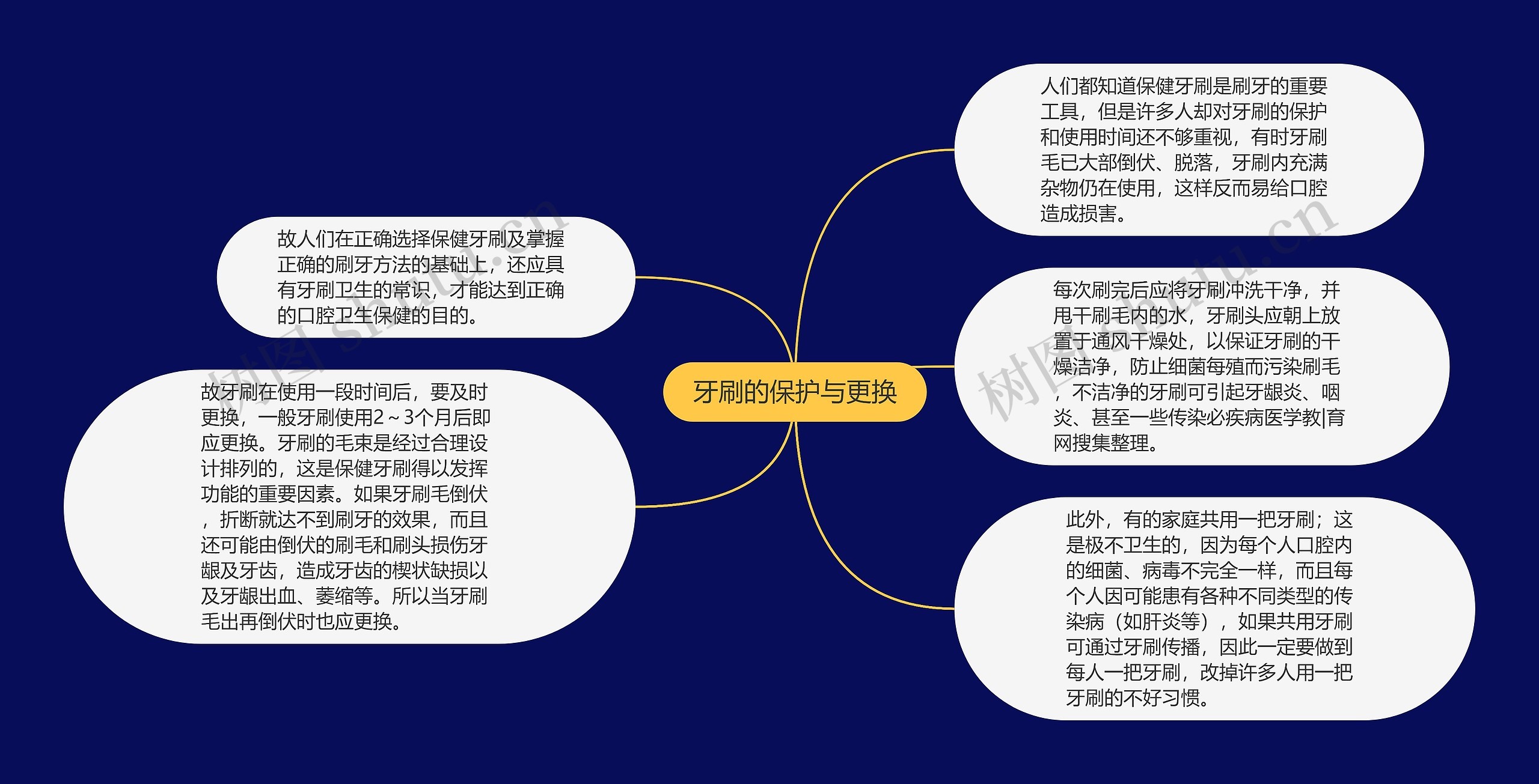 牙刷的保护与更换