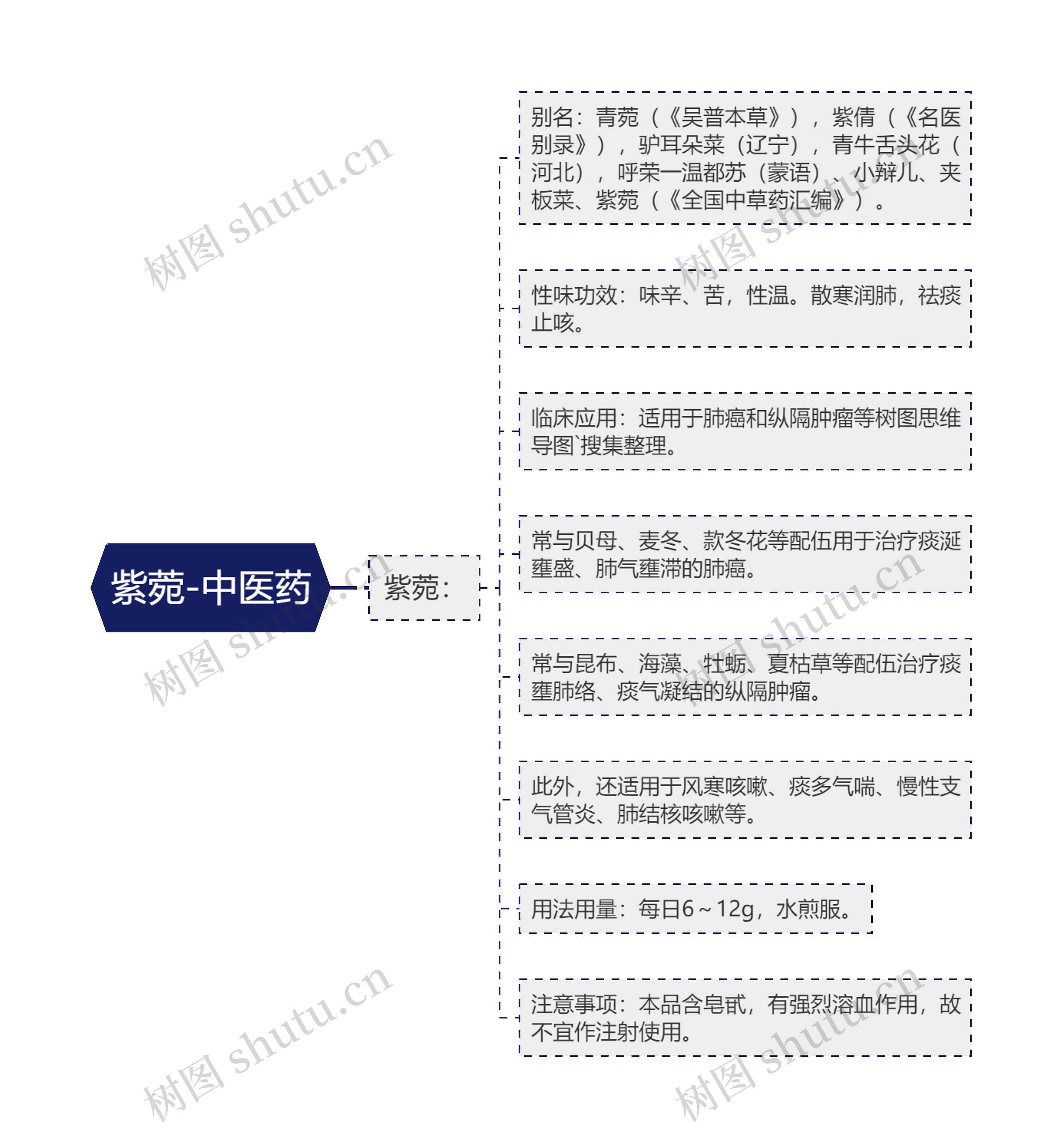 紫菀-中医药思维导图