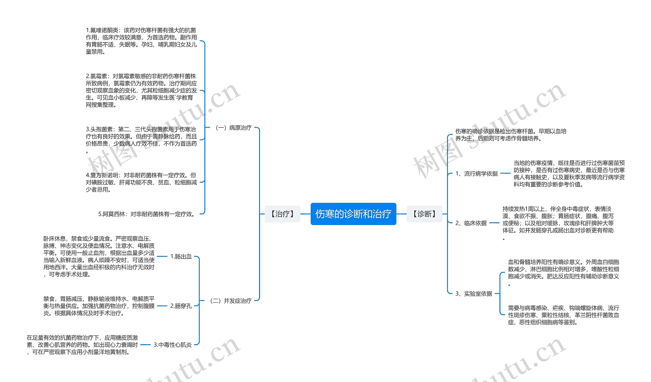 伤寒的诊断和治疗思维导图