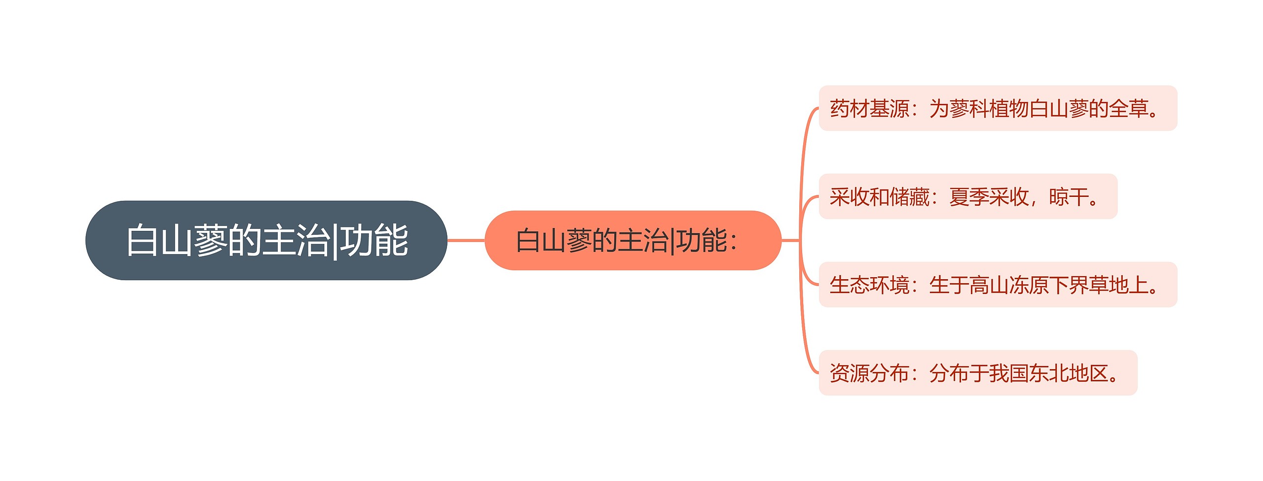 白山蓼的主治|功能思维导图