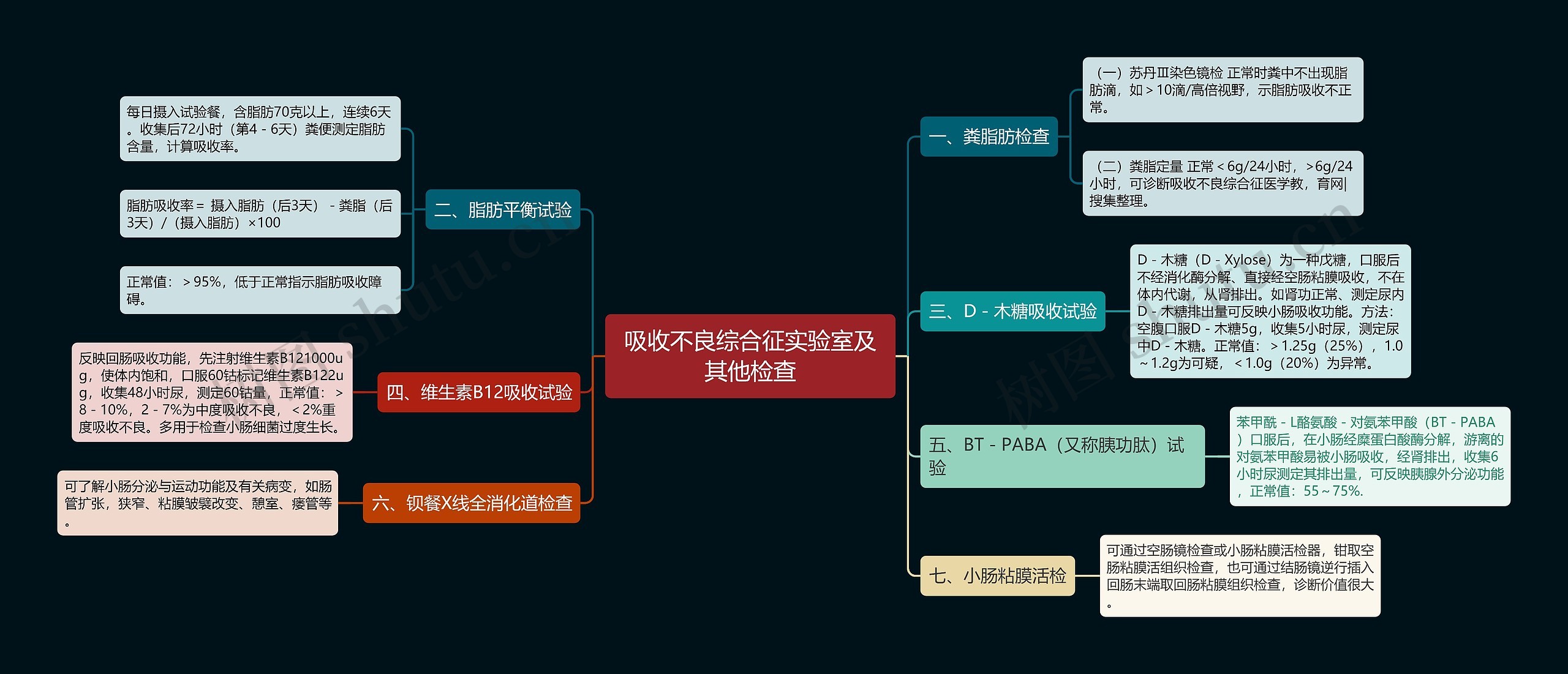 吸收不良综合征实验室及其他检查思维导图