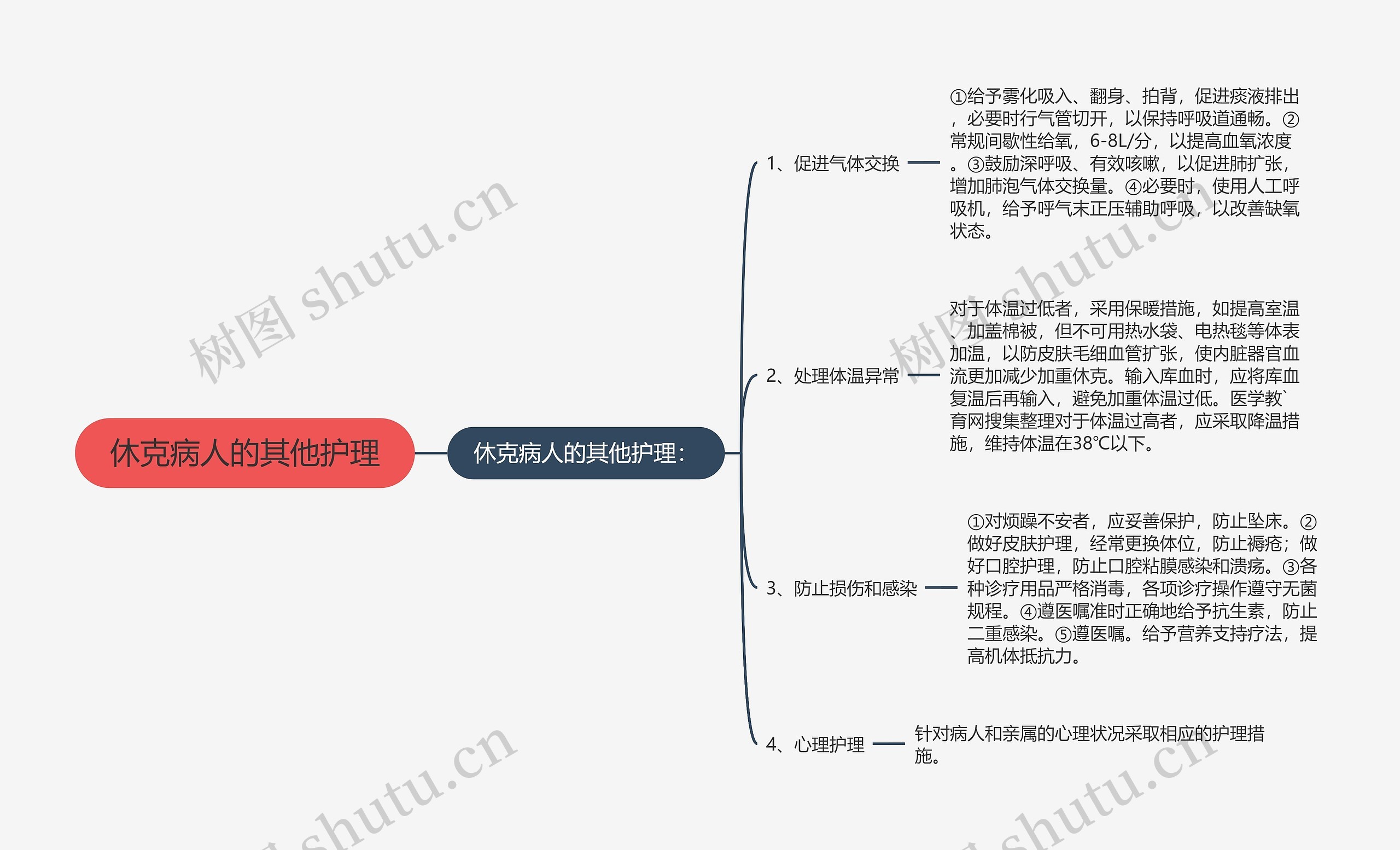 休克病人的其他护理