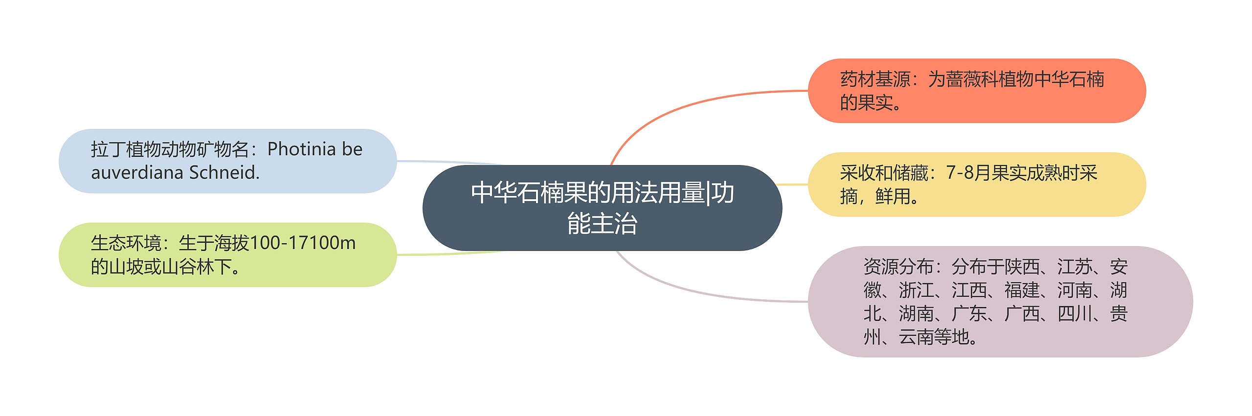 中华石楠果的用法用量|功能主治 中华石楠果的用法用量|功能主治