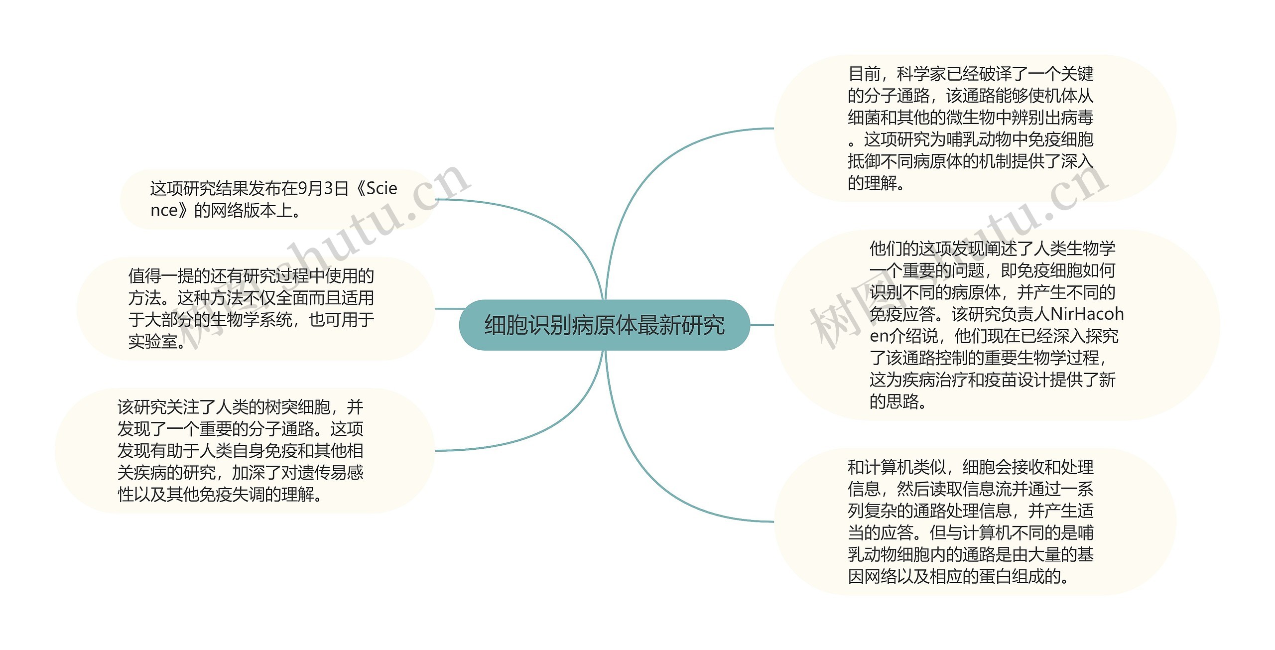 细胞识别病原体最新研究思维导图