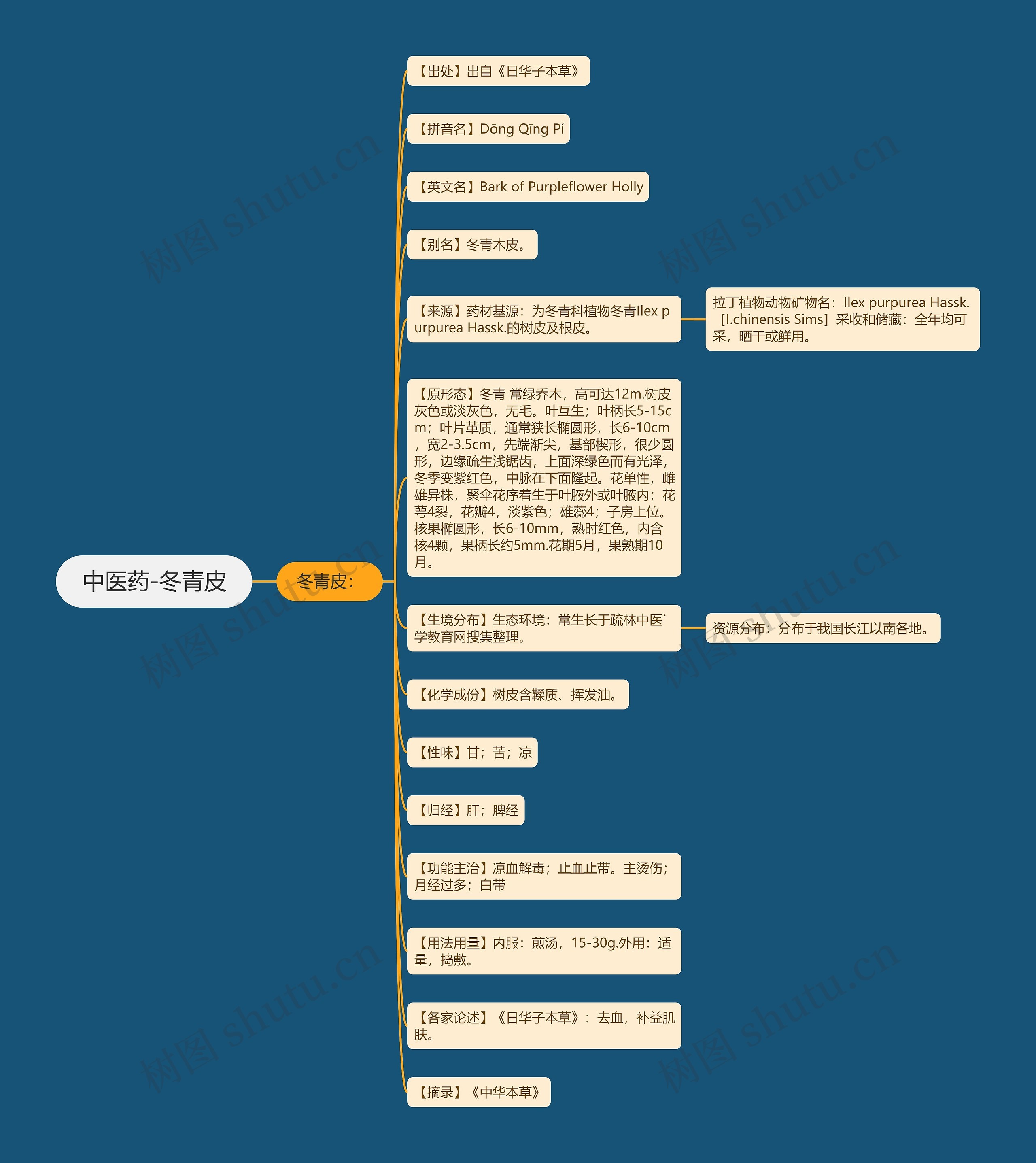 中医药-冬青皮 中医药-冬青皮
