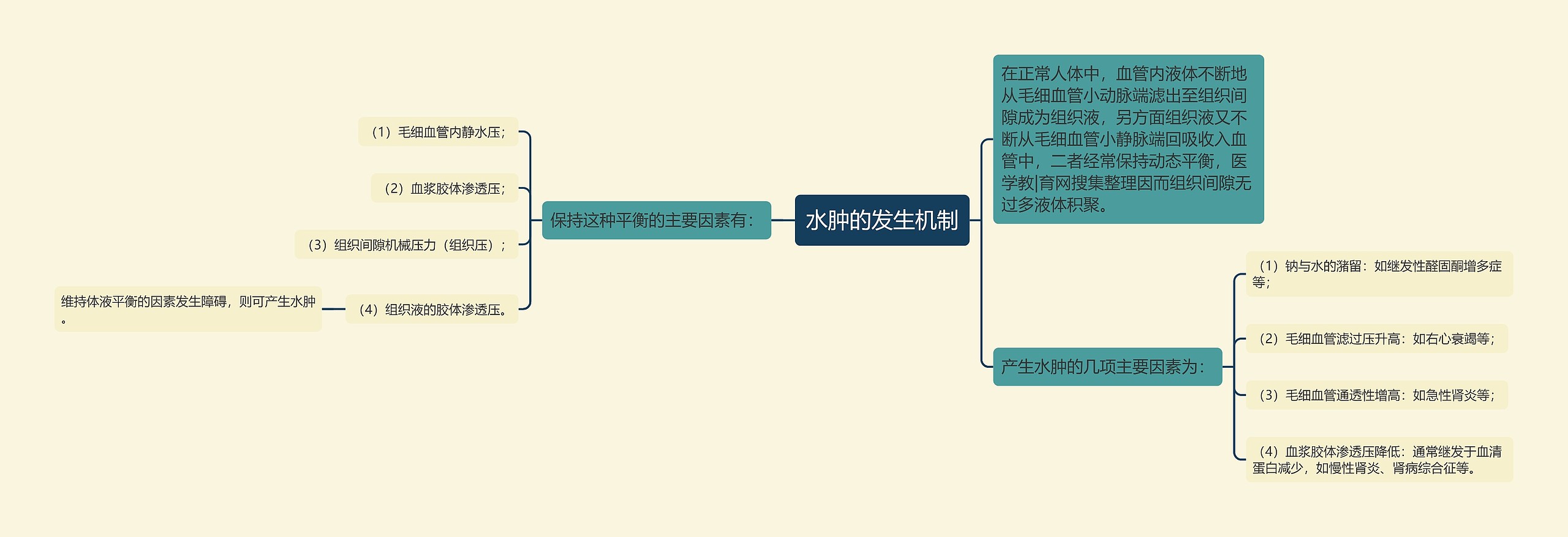 水肿的发生机制思维导图