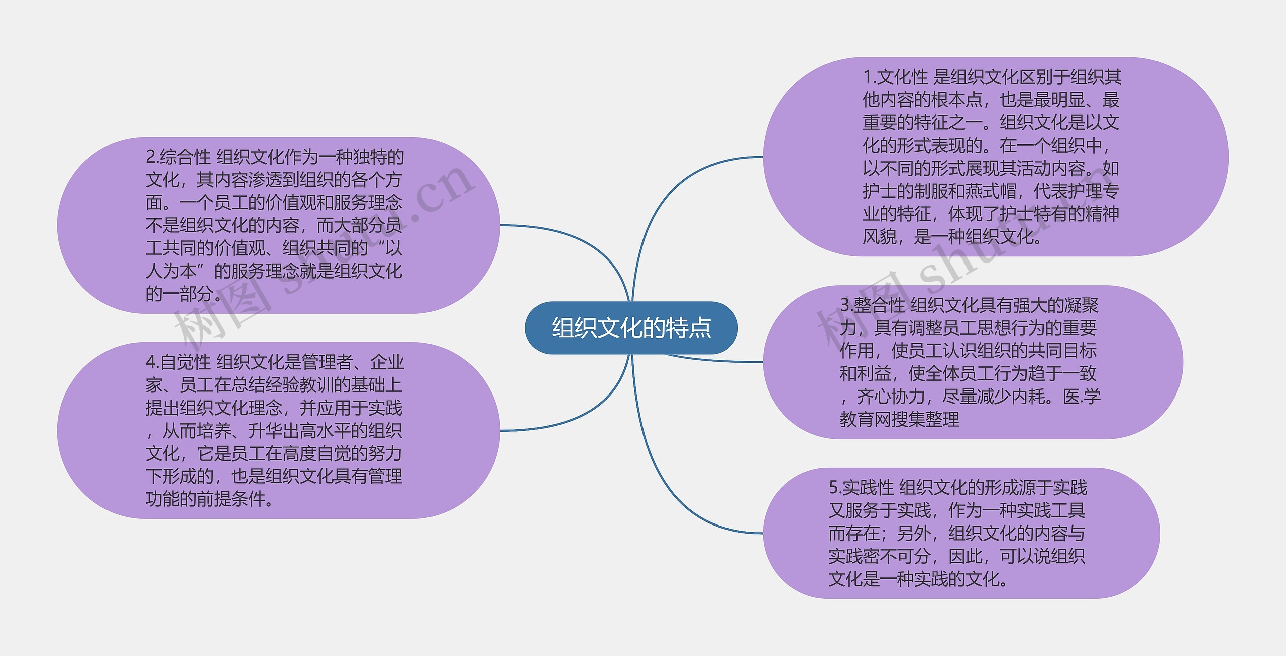 组织文化的特点