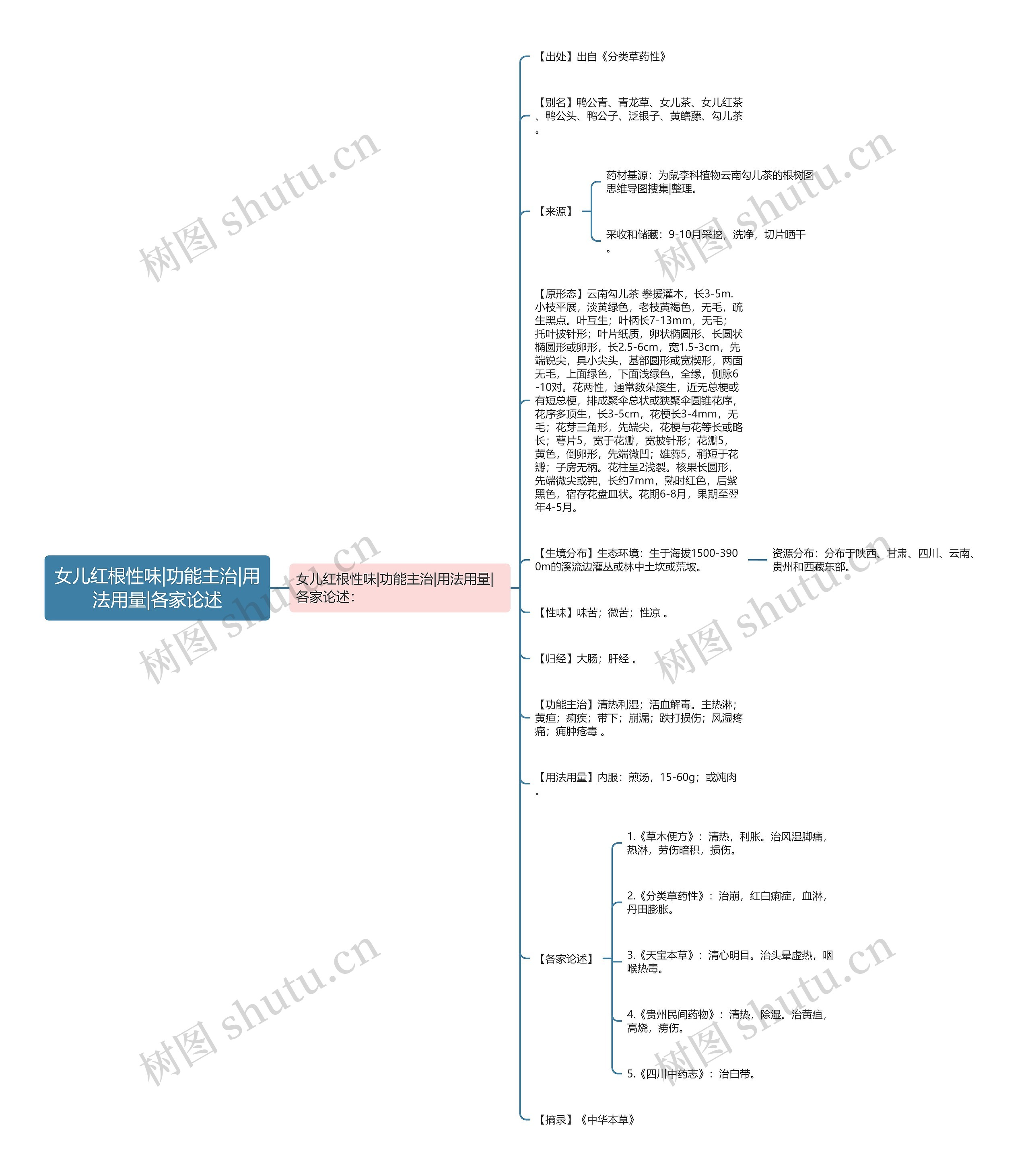 女儿红根性味|功能主治|用法用量|各家论述思维导图