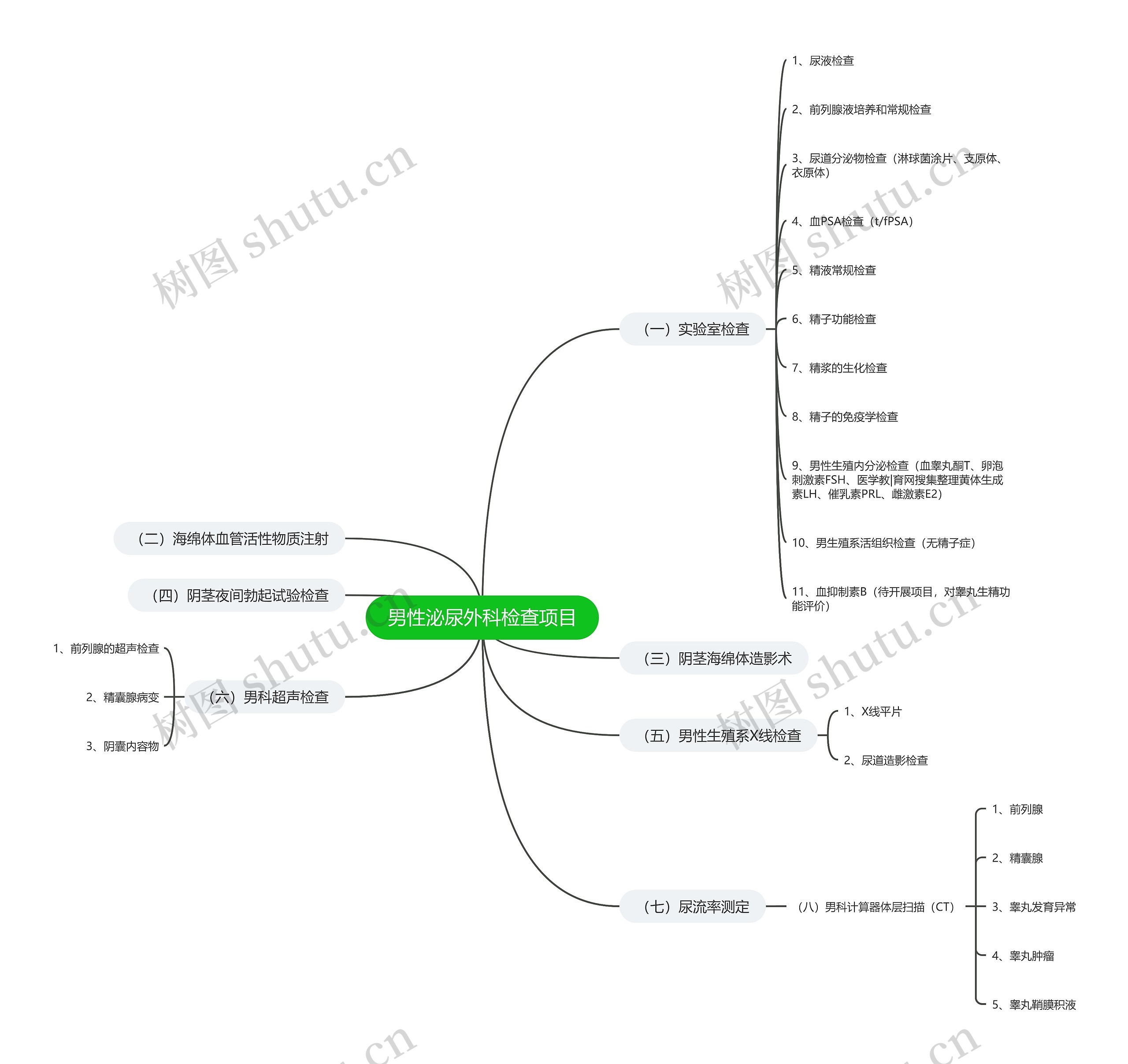 男性泌尿外科检查项目思维导图