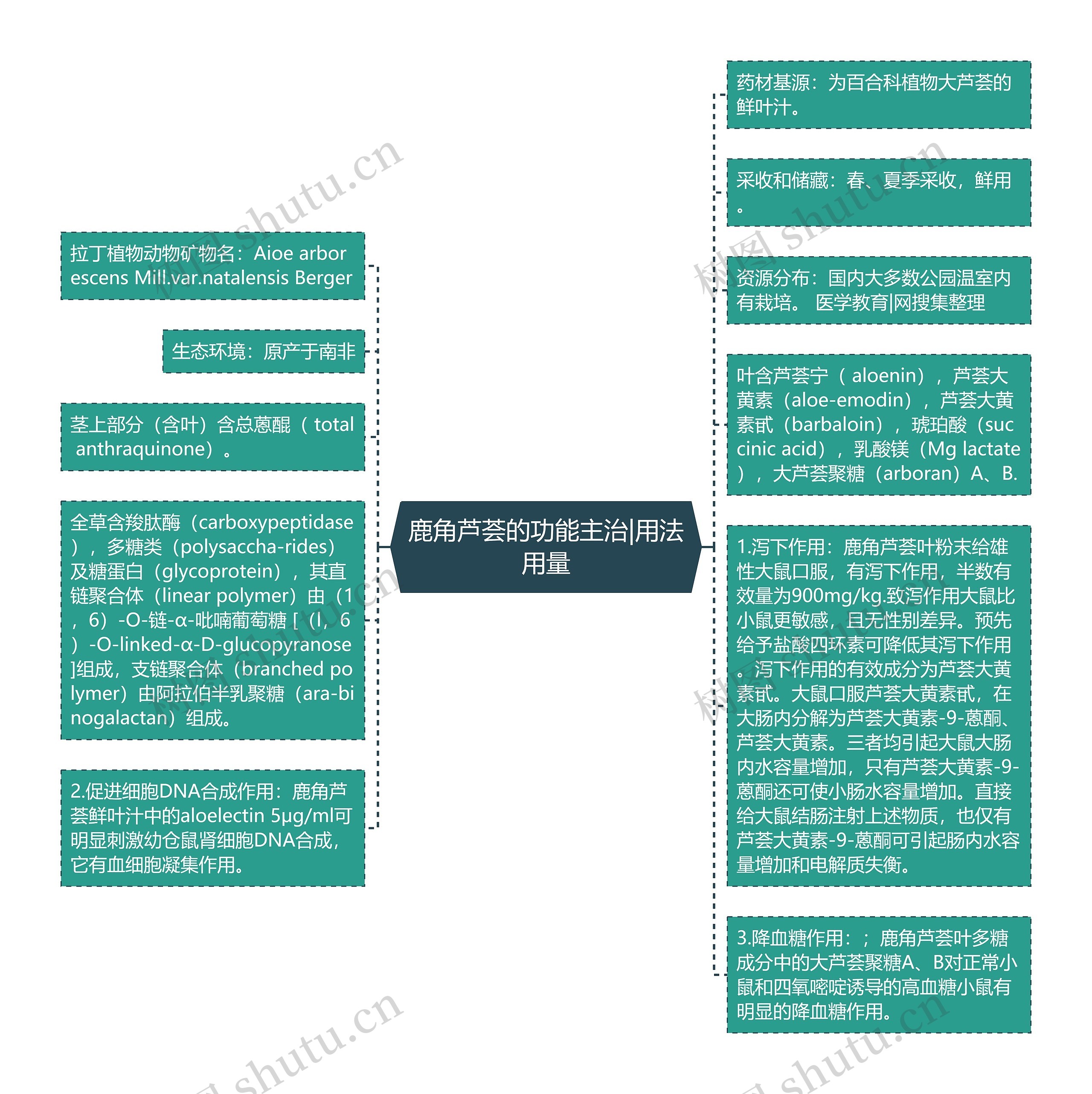 鹿角芦荟的功能主治|用法用量